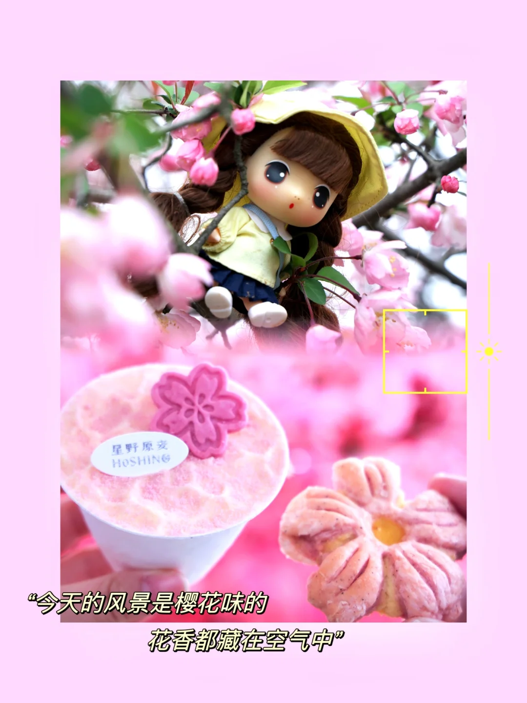 樱花🌸啊，你终于落到了我的手里