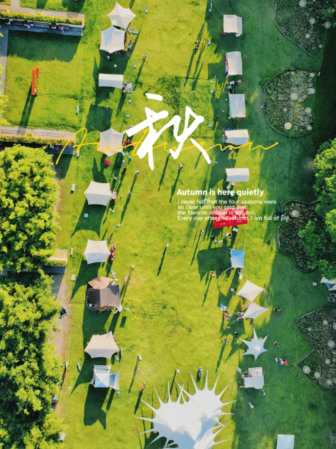 影像界的“自贸区”，大咖云集好热闹