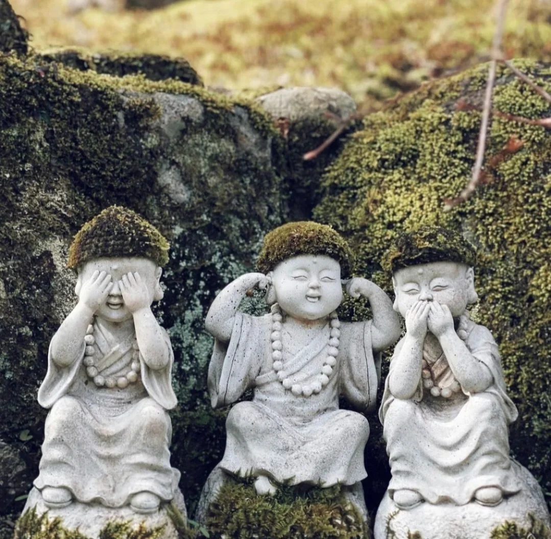 日本广岛县｜也太有趣了吧，这些小可爱们！