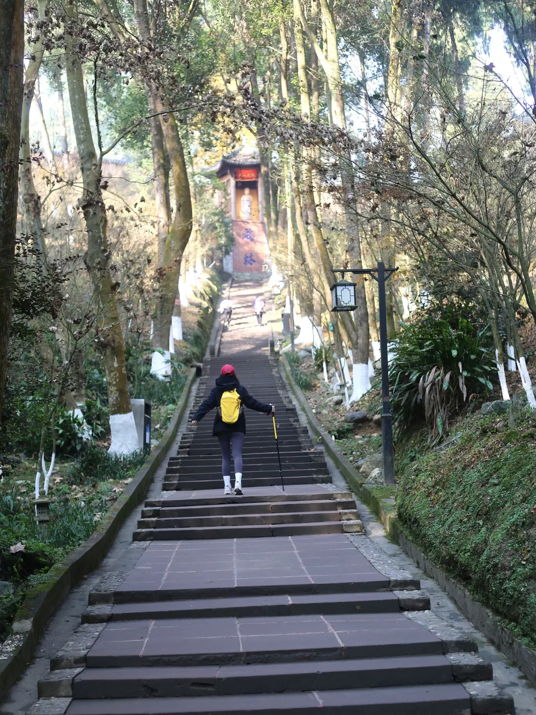 不费腿！！成都1h公交地铁直达的徒步路线