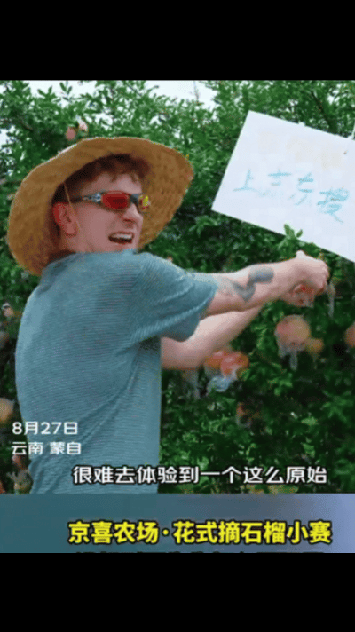 最近一直想去蒙自，大理过去五百多公里。刚又刷到了蒙自文旅联合京东京喜办的“花式摘石榴小赛”～一场果园闯关游戏，活脱脱现实版开心农场🌳外国朋友在果园手忙脚乱的各种操作，还真有趣～没想到中式农旅直接打入“国际服”🤭老外挑战吃石榴第一口就翻车去蒙自又多了个打卡点 ，暂时抛开城市紧绷的节奏，一头扎进果园尽情撒欢，泥土、果树与丰收的喜悦，这才是最治愈的解压方式