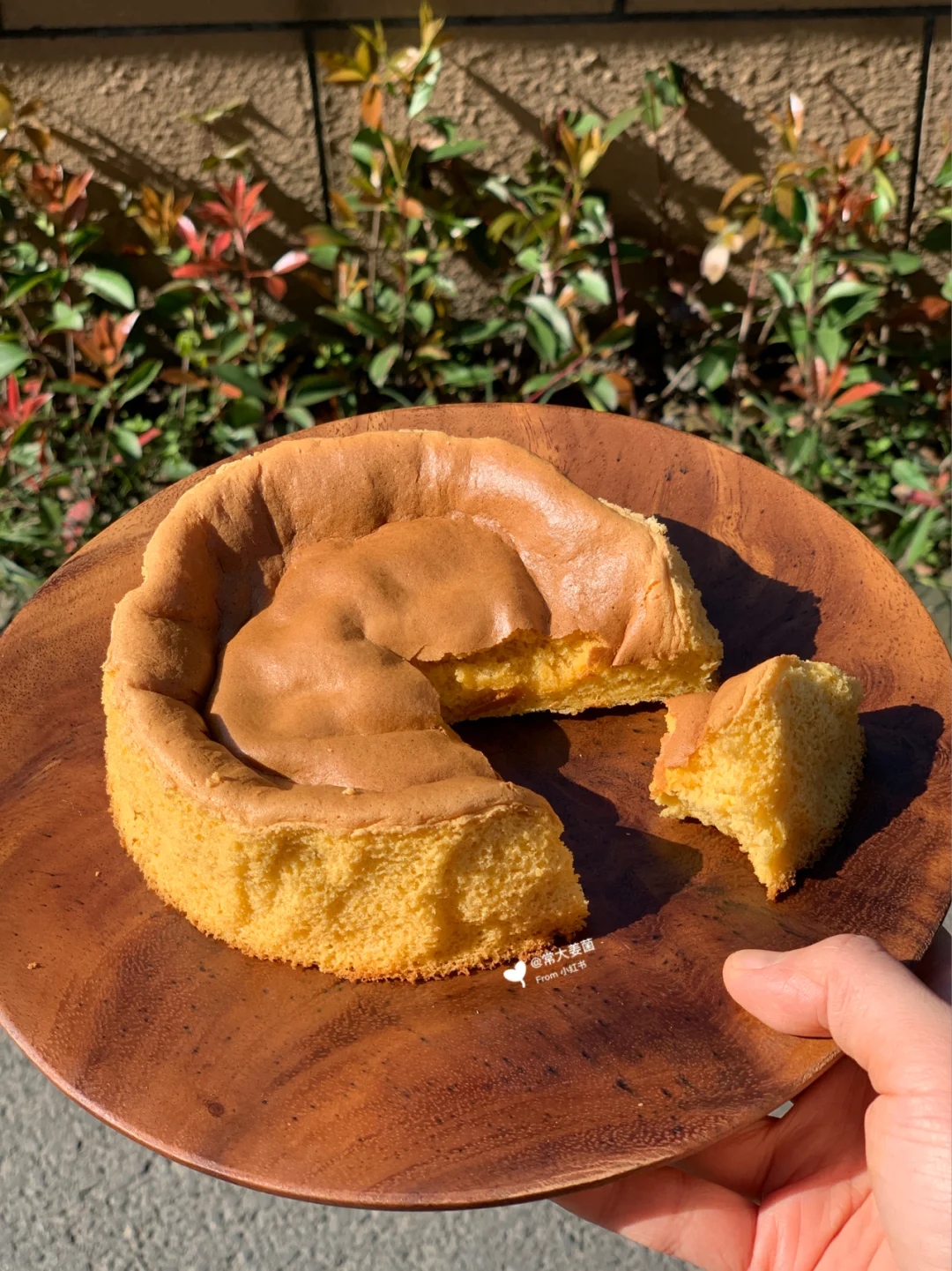 好利来蜂蜜蛋糕🍯这才叫小白简单上手款嘛！