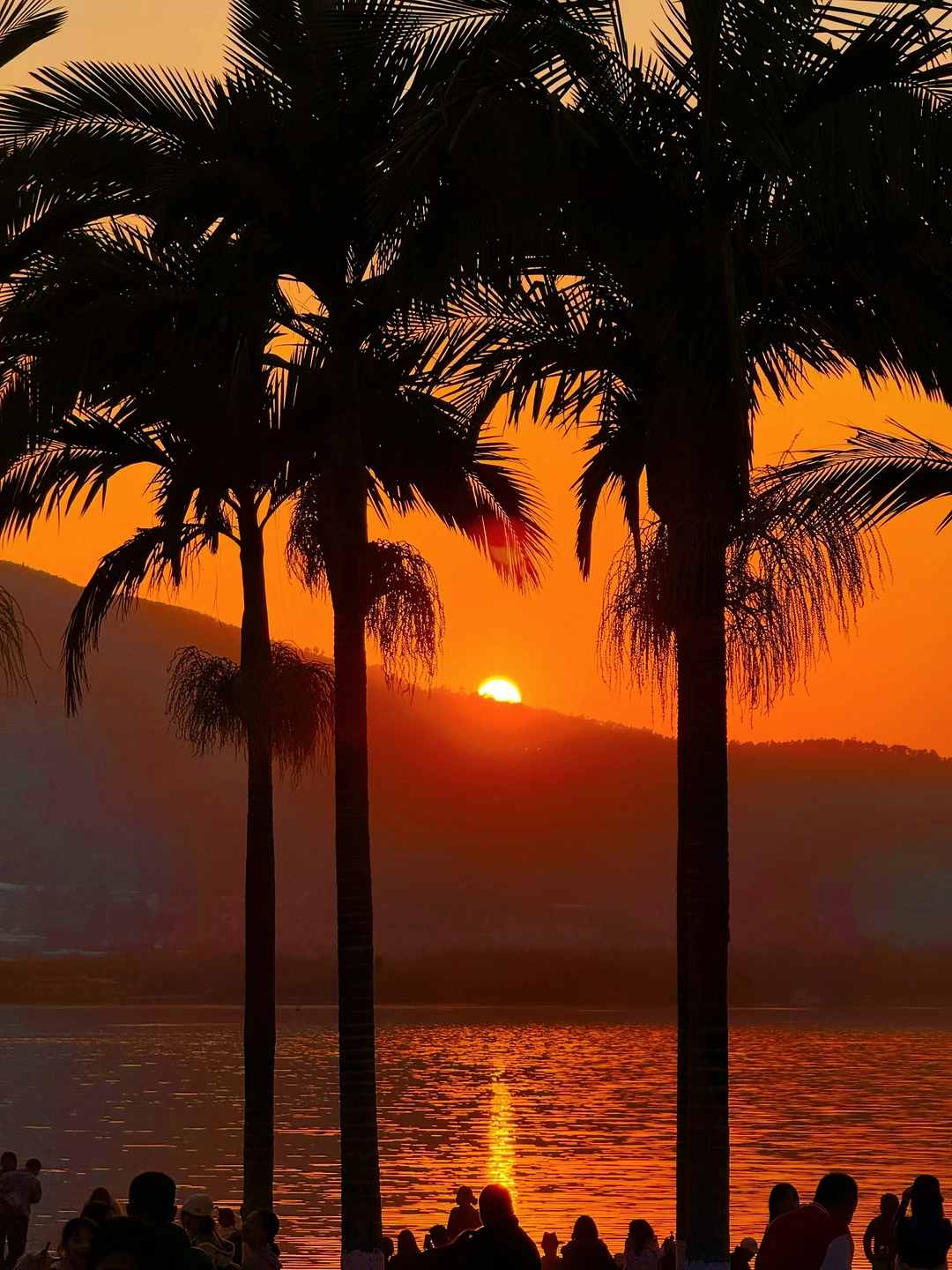 1.29实拍‼️被西昌今天的橘子海日落美哭了~