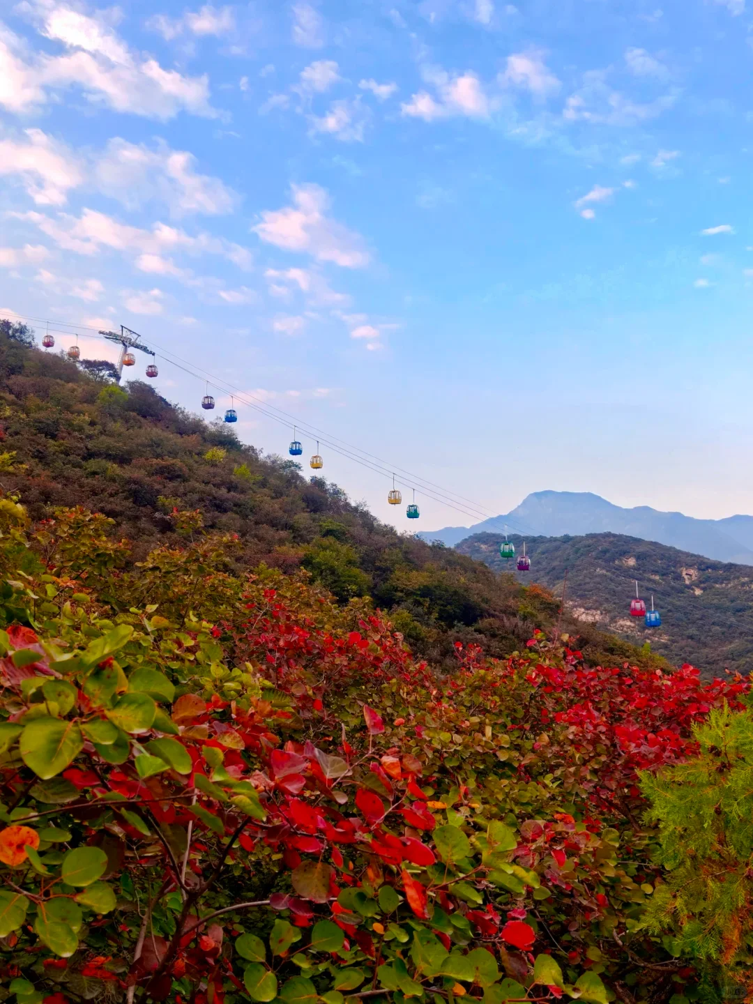 看红叶别再去香山挤了！本地人私藏这座山