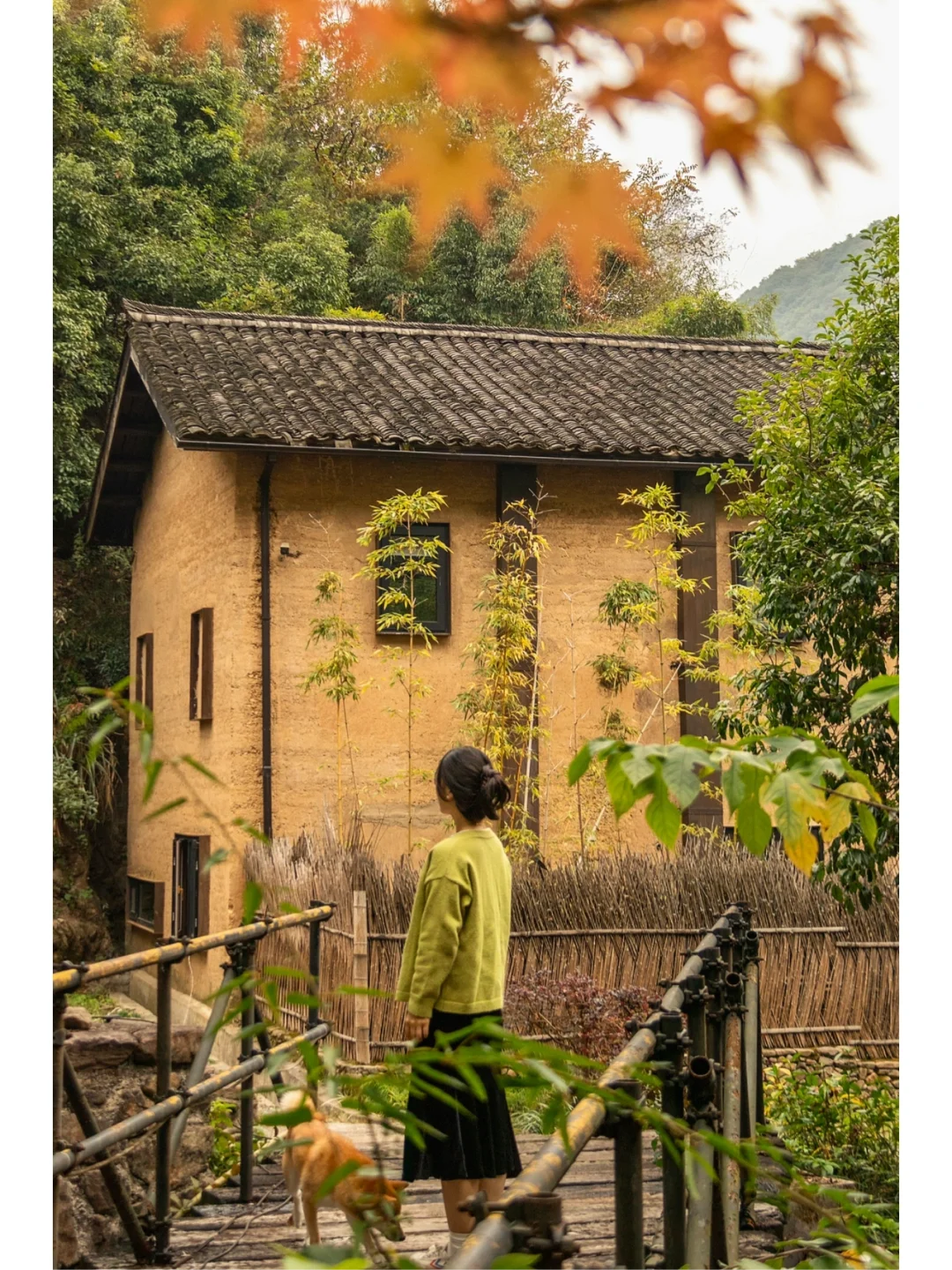 桐庐踏秋｜在山野里寻找秋天🍁染一身桂花香