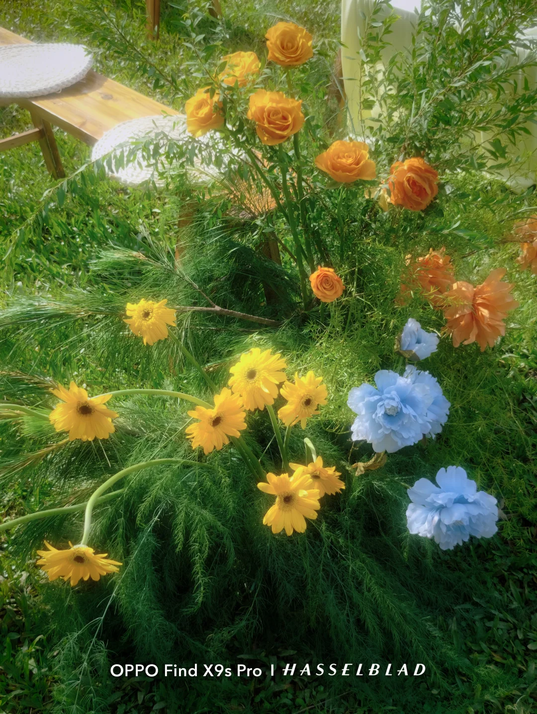 终于知道这种夏日发光氛围感怎么拍了‼️ ✨