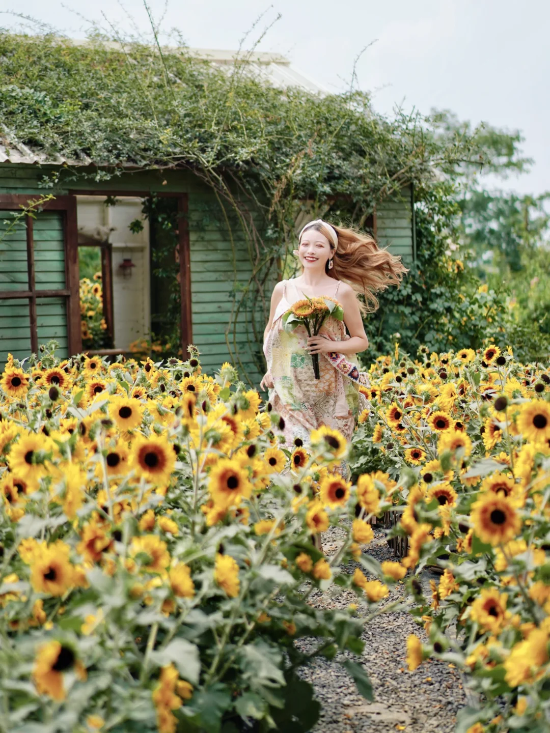 向日葵盛开的夏天，这样拍好有生命力🌻