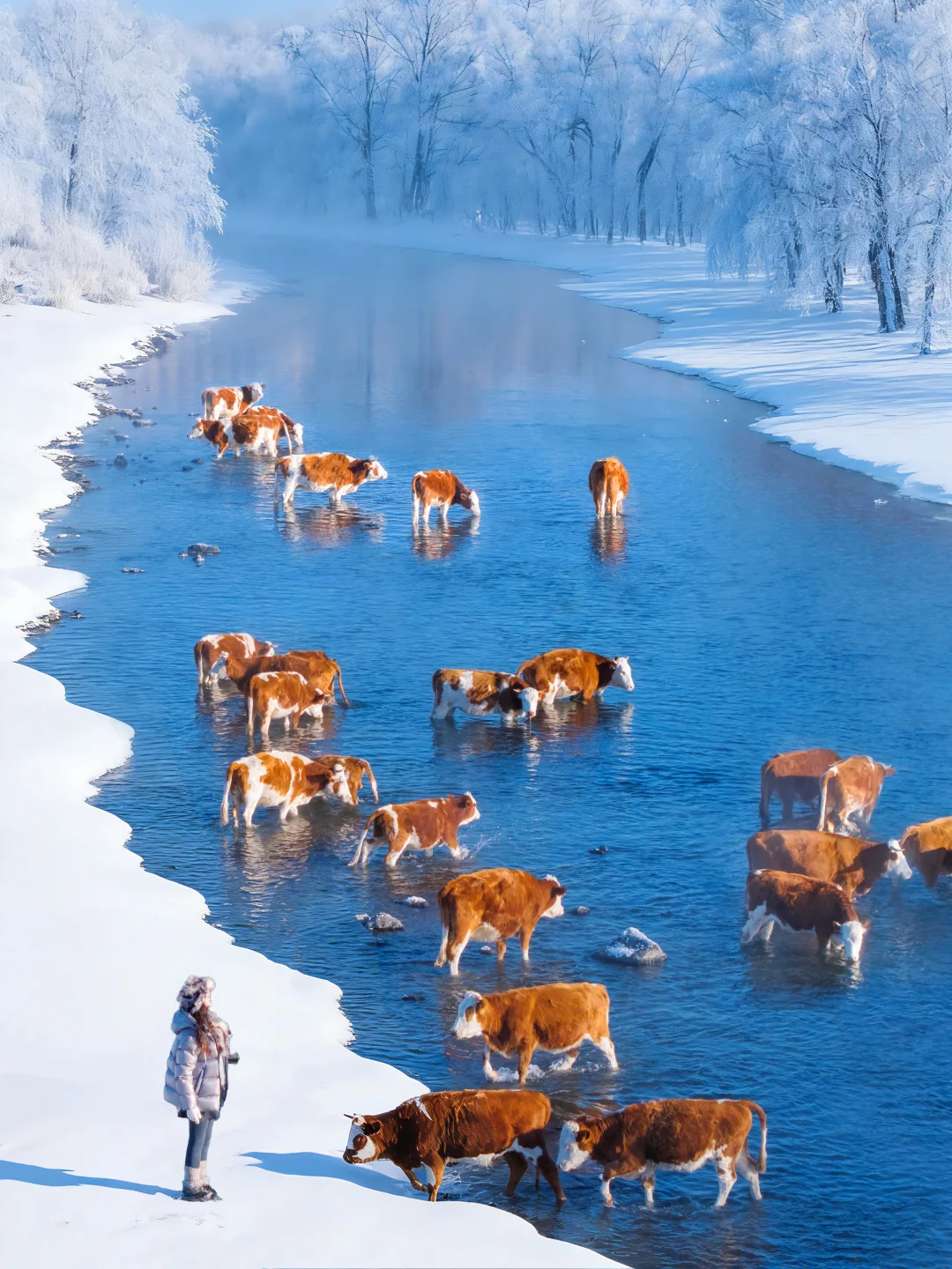 没踩雷🫡第一次去阿尔山直接照抄这份攻略