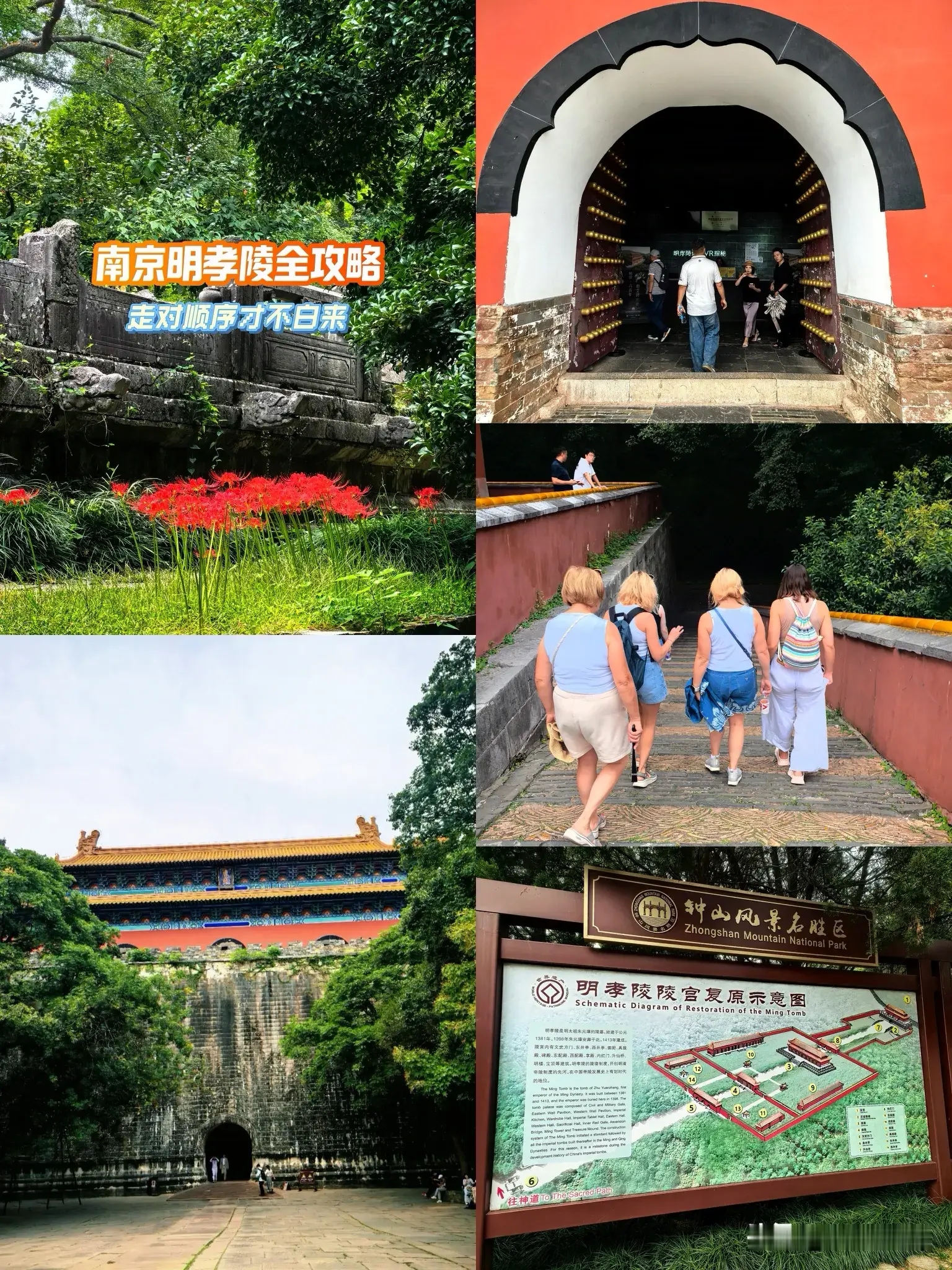 明孝陵全攻略🔥选对顺序，这个季节美到封神
中秋国庆来南京，明孝陵是绕不开的一站。但很多人逛完出来，脑子里还是乱的——太大了，不知道看了什么。
今天这篇，帮你把整体结构理清楚，顺便讲几个藏在细节里的故事。

先搞懂整体结构
明孝陵分两大块：神道和陵宫主体。神道就是石象路加翁仲路，石象路有狮子、大象、麒