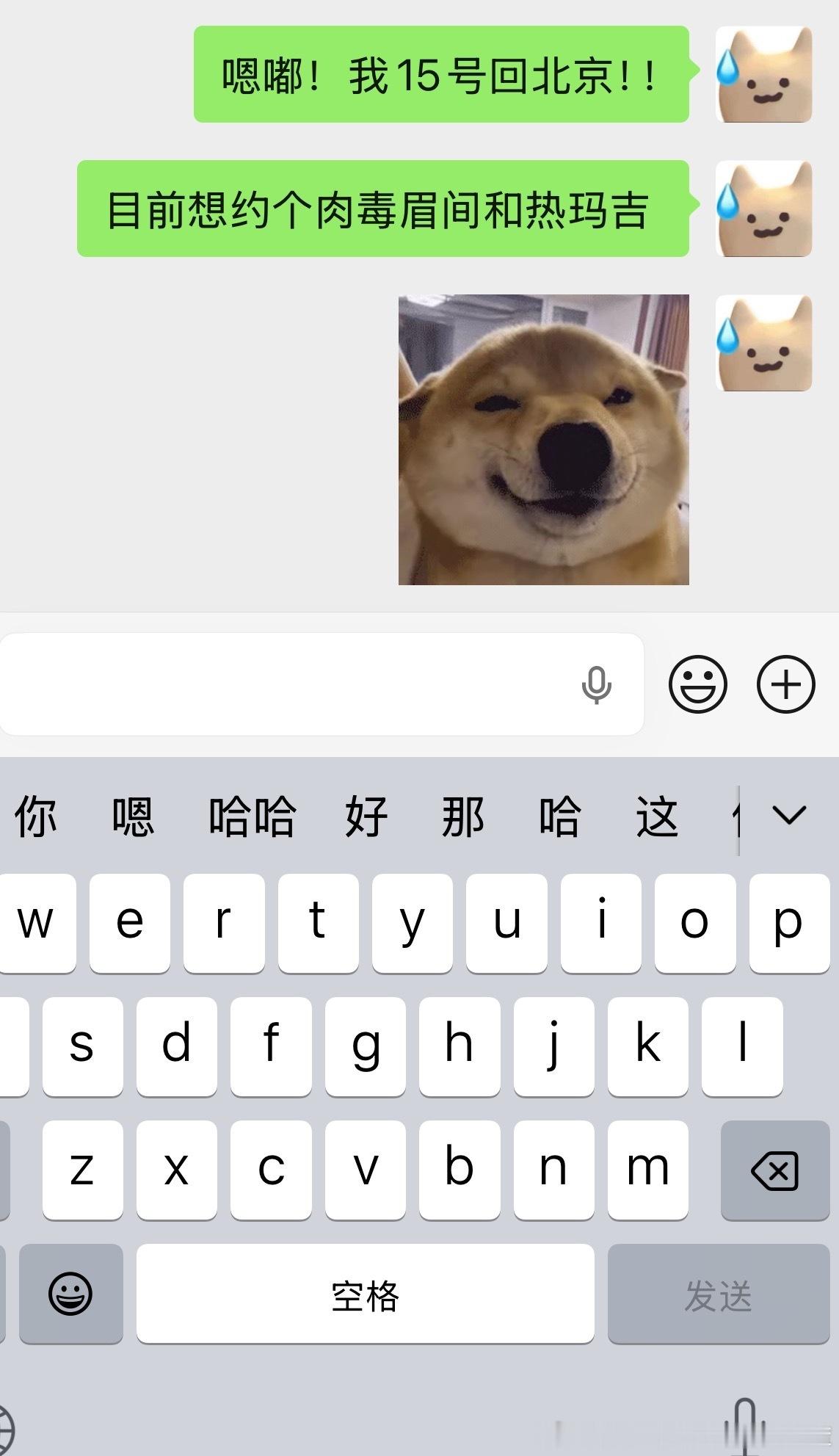 开始整容了 大家敬请期待吧 这一次我要弄的东西可不少 一点点来！对不起了鼠 妈妈离开你几天变漂亮马上回来 ​​​
