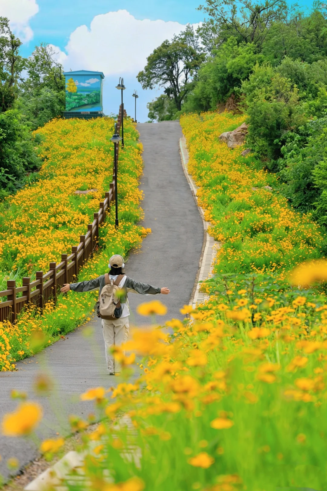 5.9实况❗️武汉这条徒步路线美疯了！一路生花