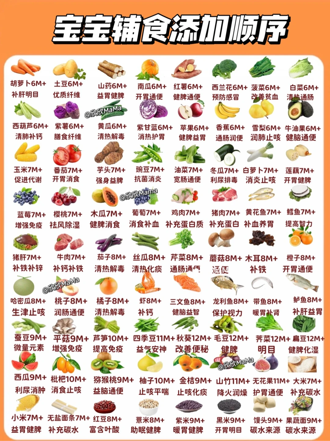 最全6-12宝宝辅食添加顺序｜建议收藏✅