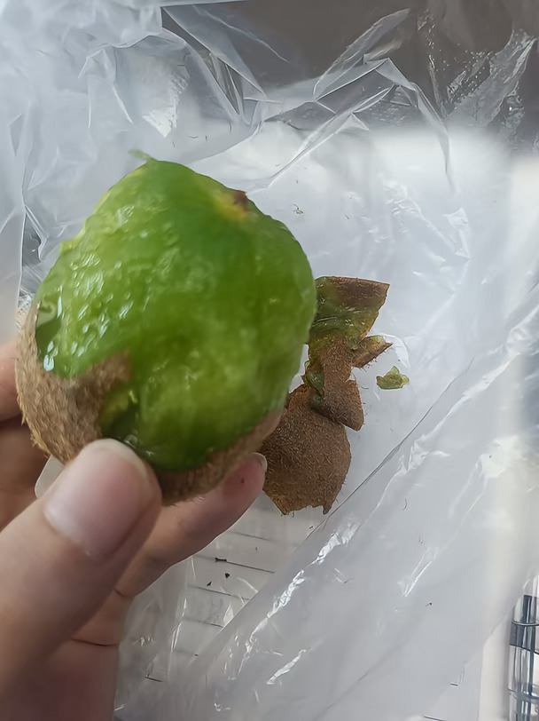 重庆真的只有两个季节 夏天和冬天