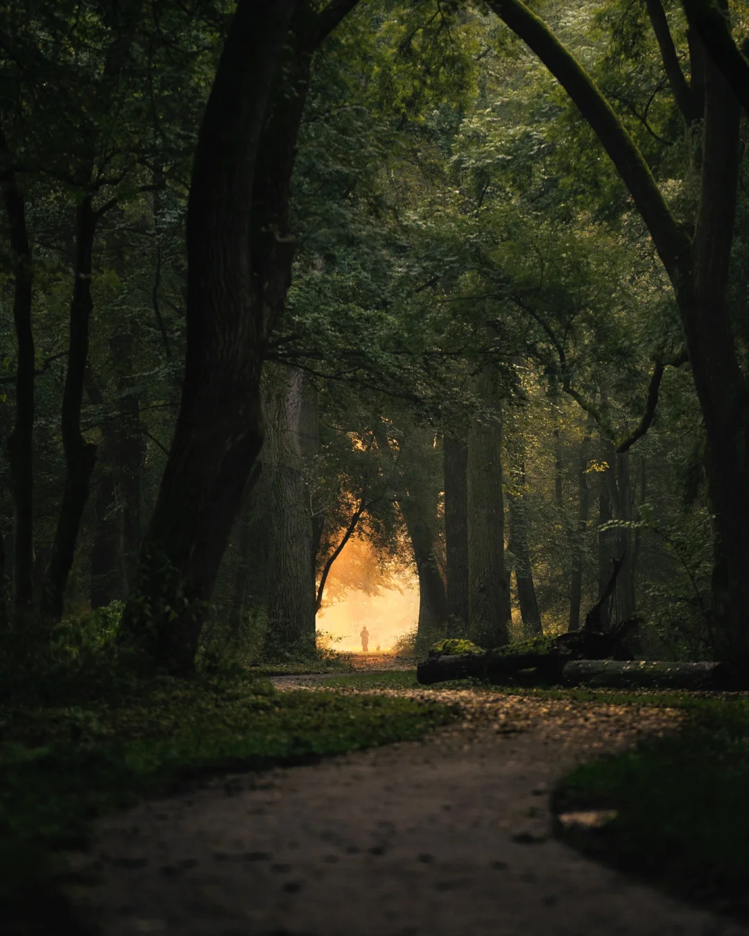 “𝓢𝓾𝓶𝓶𝓮𝓻 𝓓𝓻𝓮𝓪𝓶”