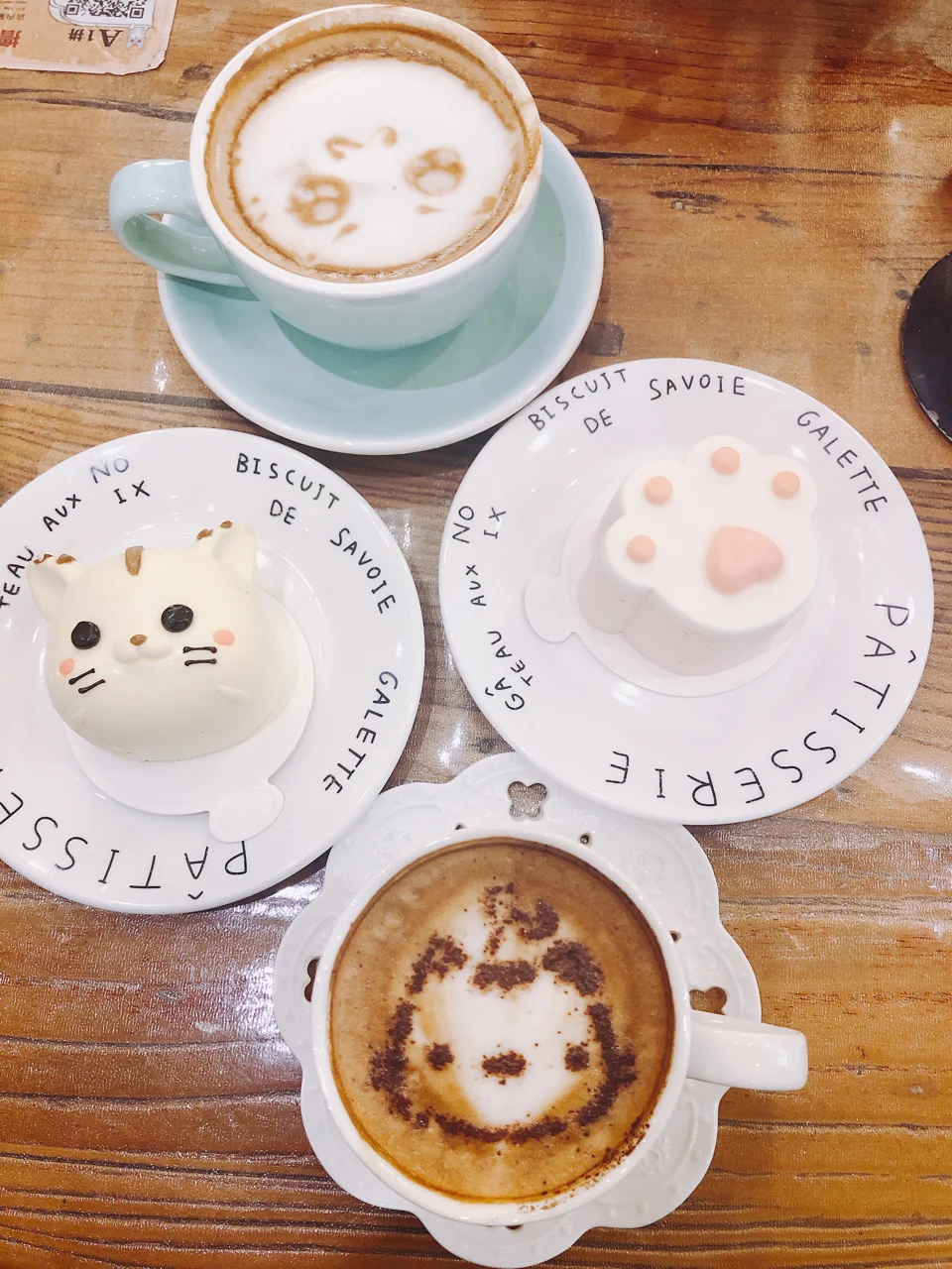 周末探店|鼓楼🐈猫小院