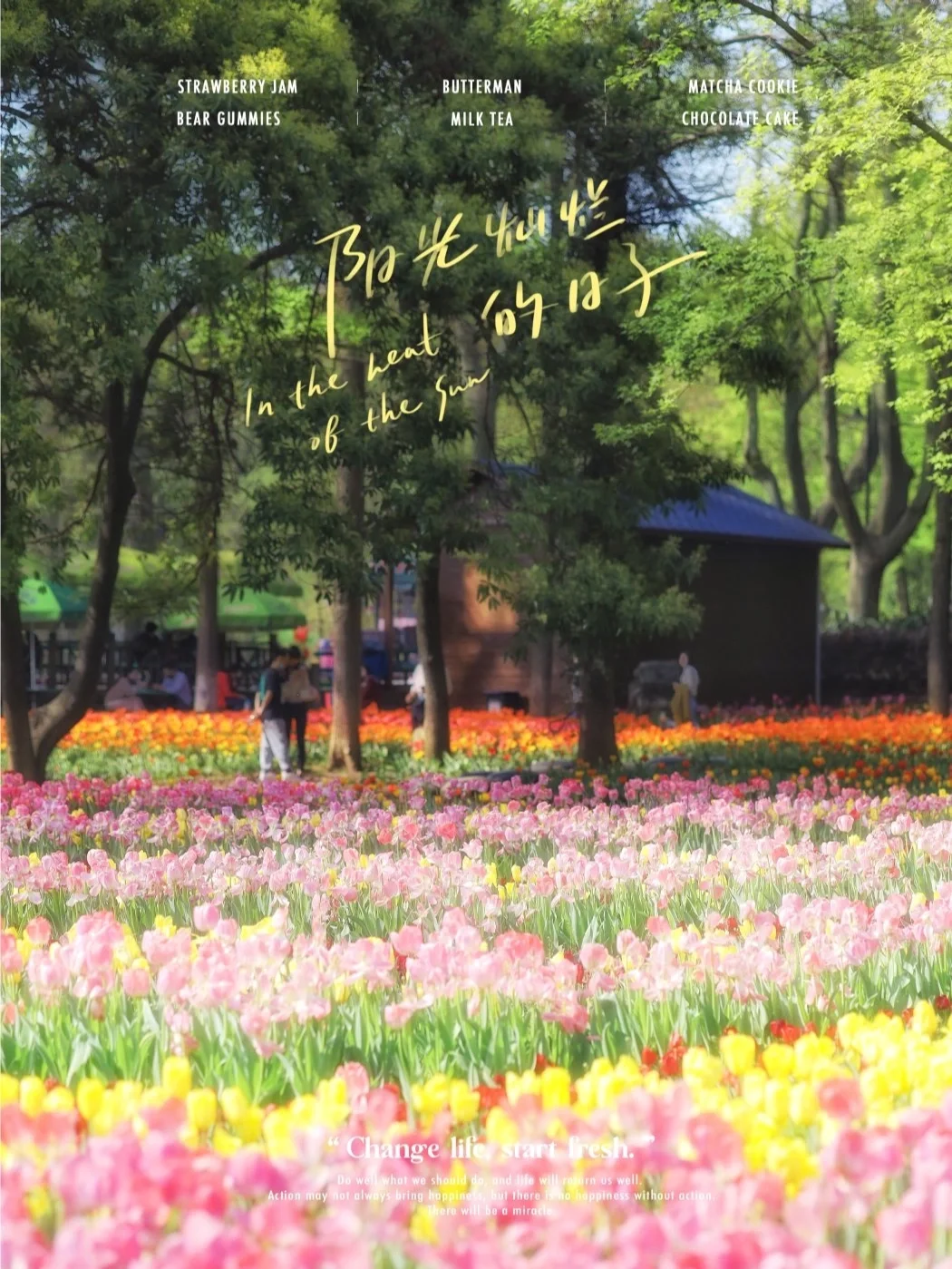 武汉80万株郁金香盛开，闯进现实版油画世界