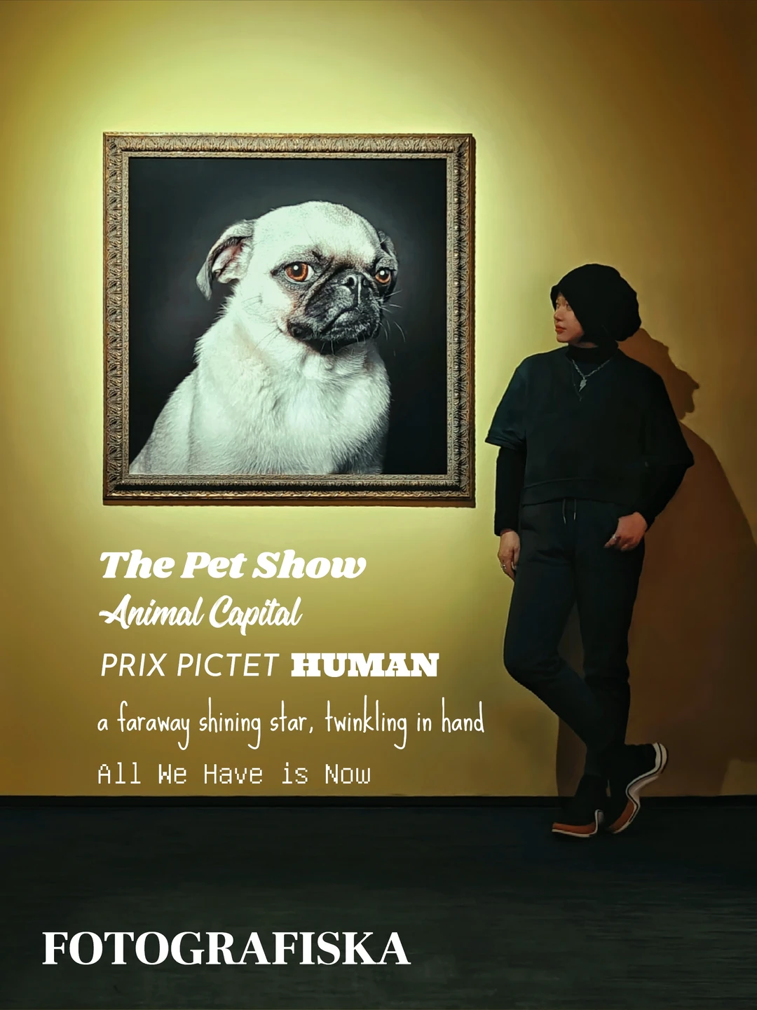 展览末班车｜FOTOGRAFISKA超萌宠物摄影展