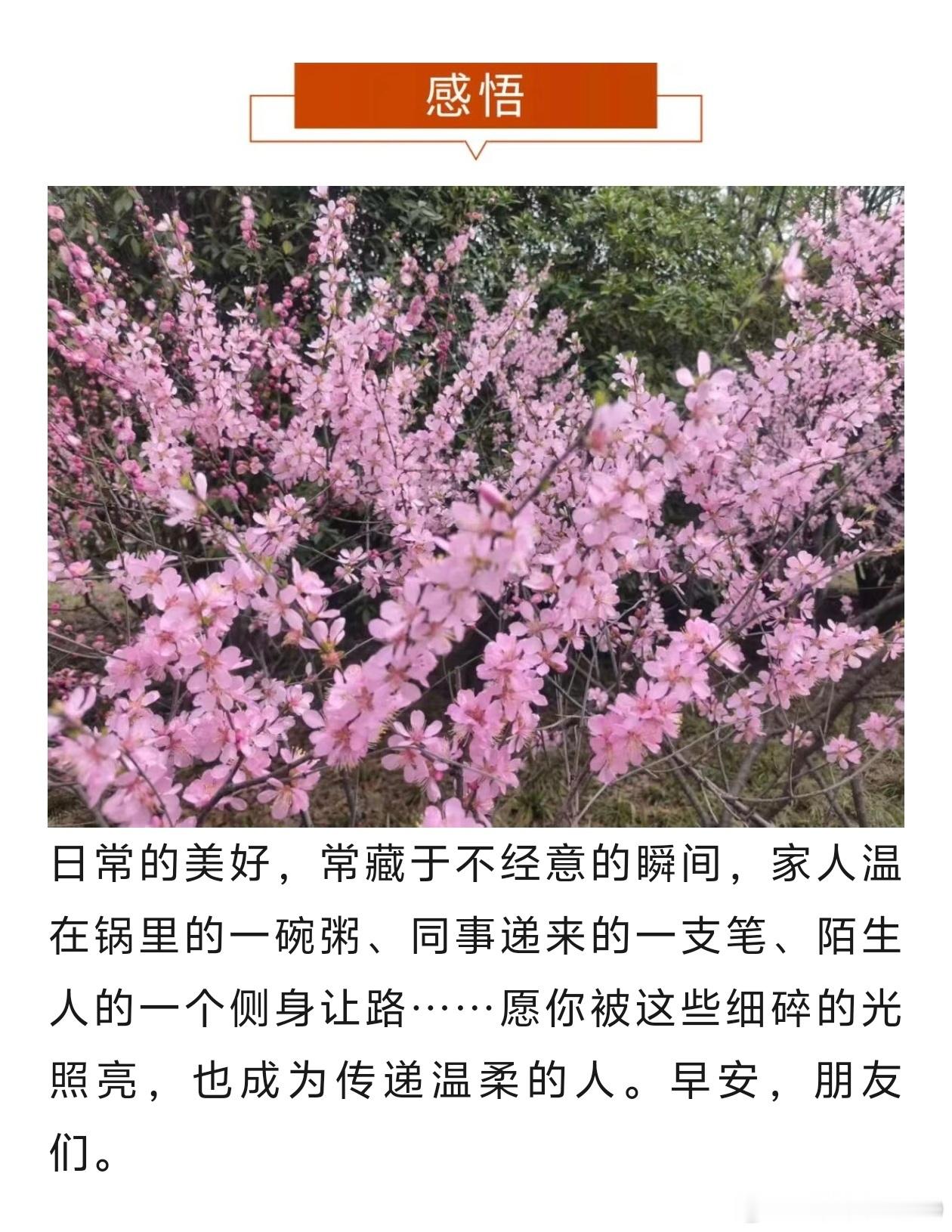 打卡第3258天。郑州中原/多云 26-34℃。

全天，关注时事新闻和财经资讯；观看CCTV5：2026年亚洲女排锦标赛 小组赛（泰国队 vs 哈萨克斯坦队）；关注全球股市及A股和A50股指期货行情/减仓操作。

北京时间 15:00 A股收盘：
盘面解析/图片4-5。

晚上，散步并购物（大蒜花生🥜毛豆）；观看CCTV5：CMG ​