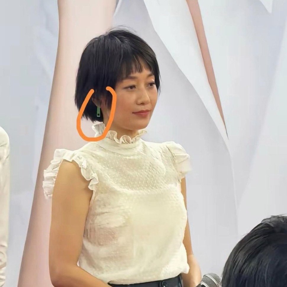 马伊琍的这个耳环是把项链头拆掉后戴上去的吗？ ​