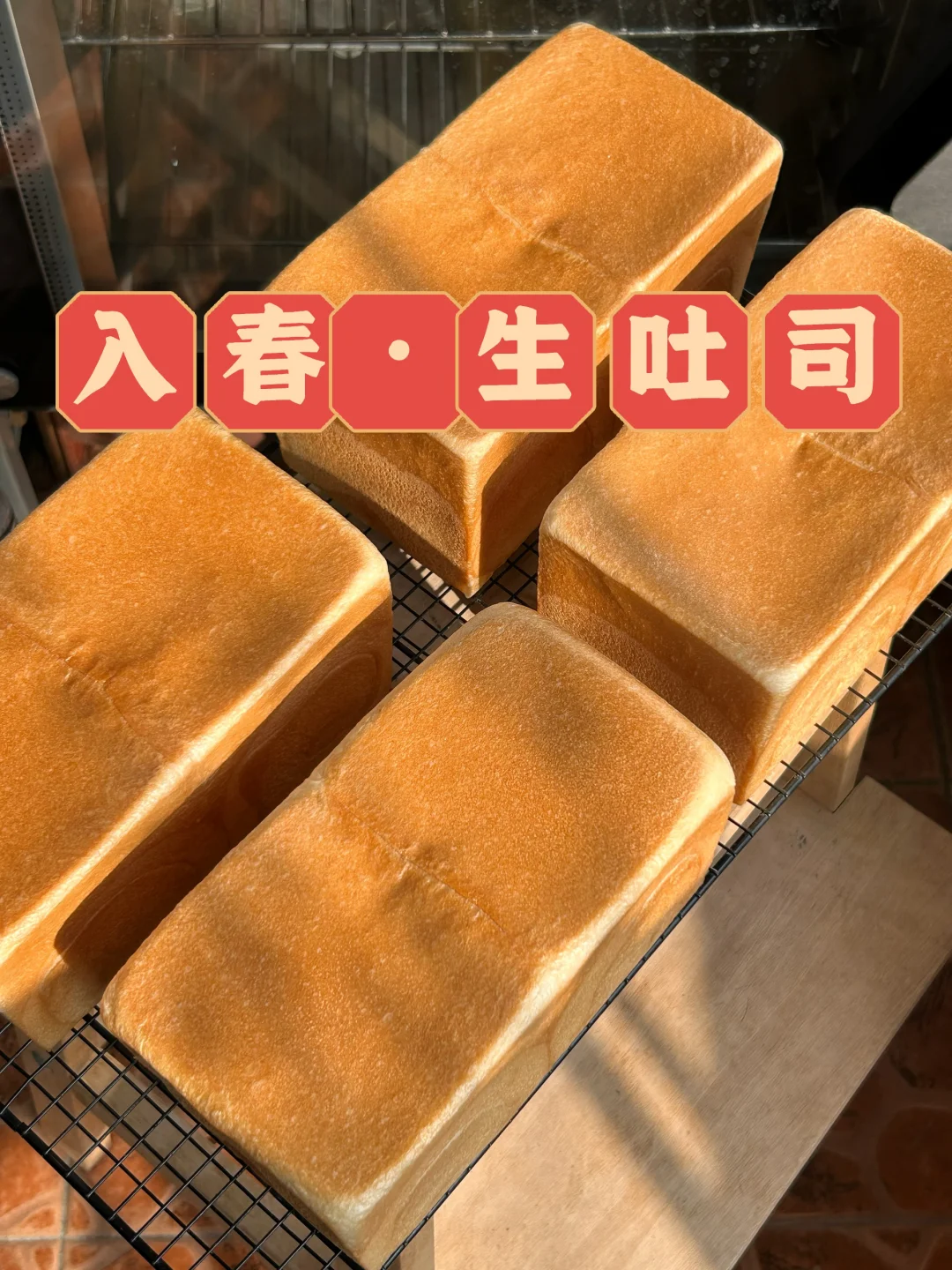 2026.入春｜江别.北海道.长尾雀｜生吐司.分享