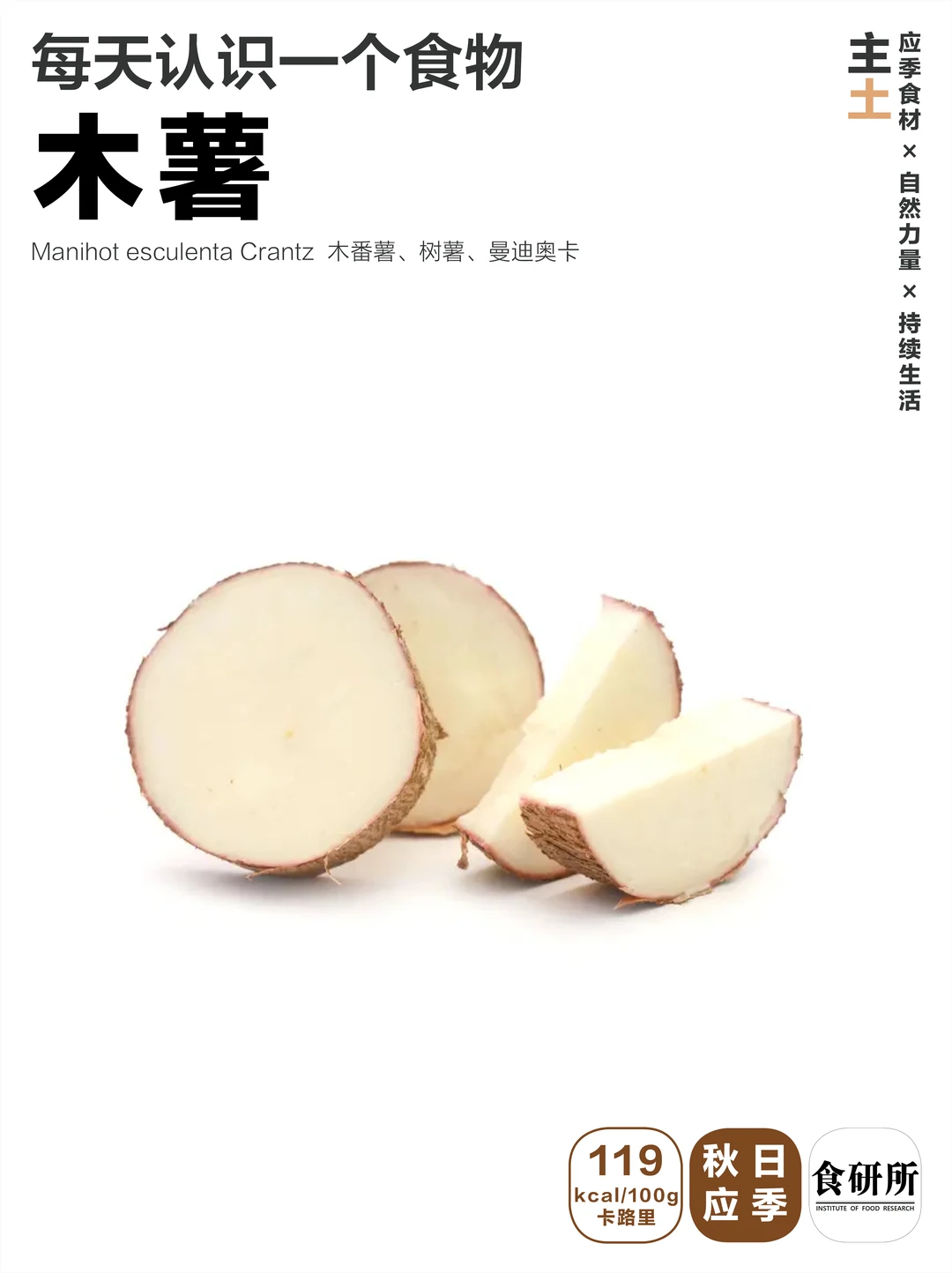 木薯|好吃但吃完好晕好累啊