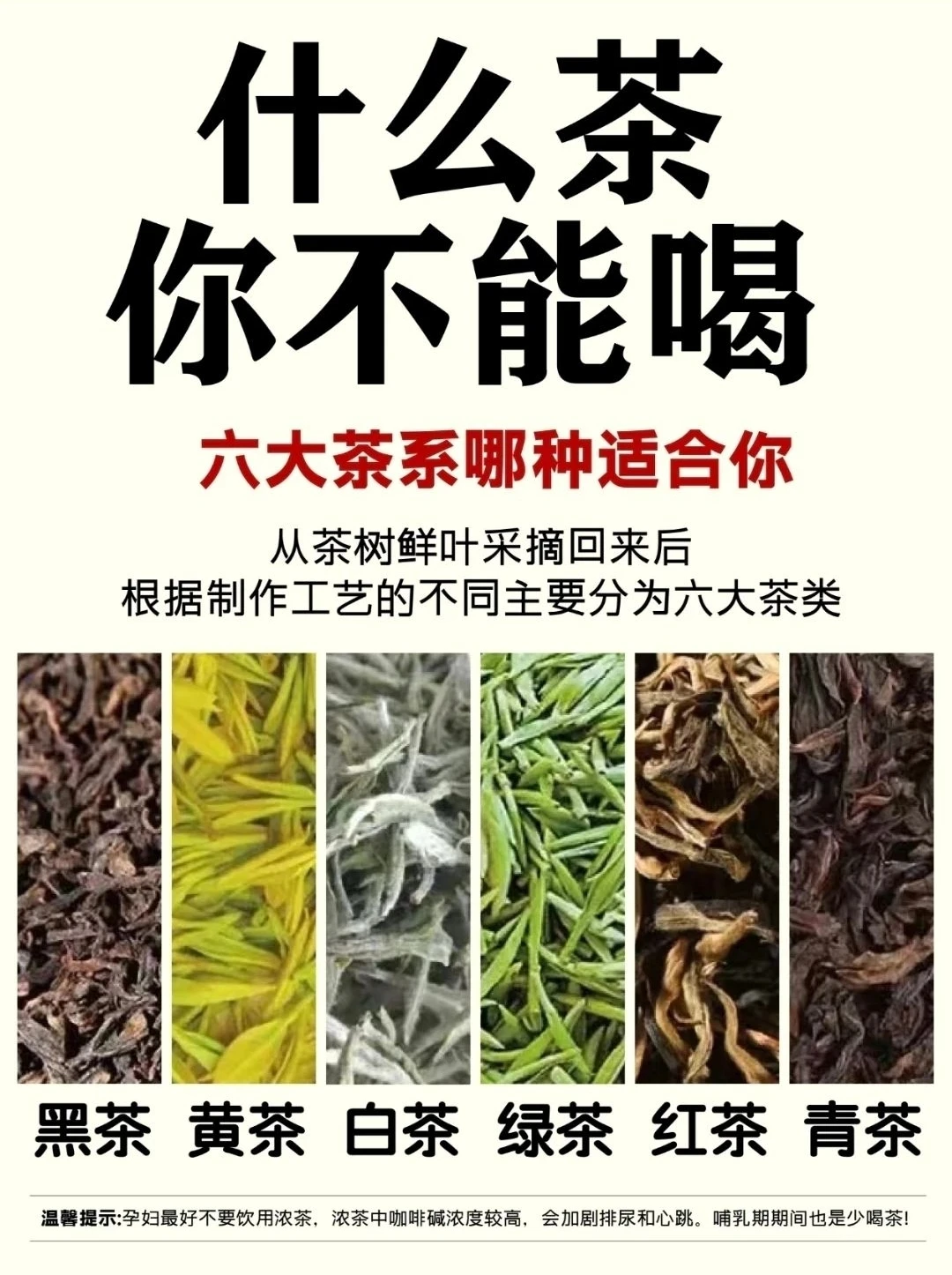 什么茶适合你？一文讲清不同体质喝不同茶
