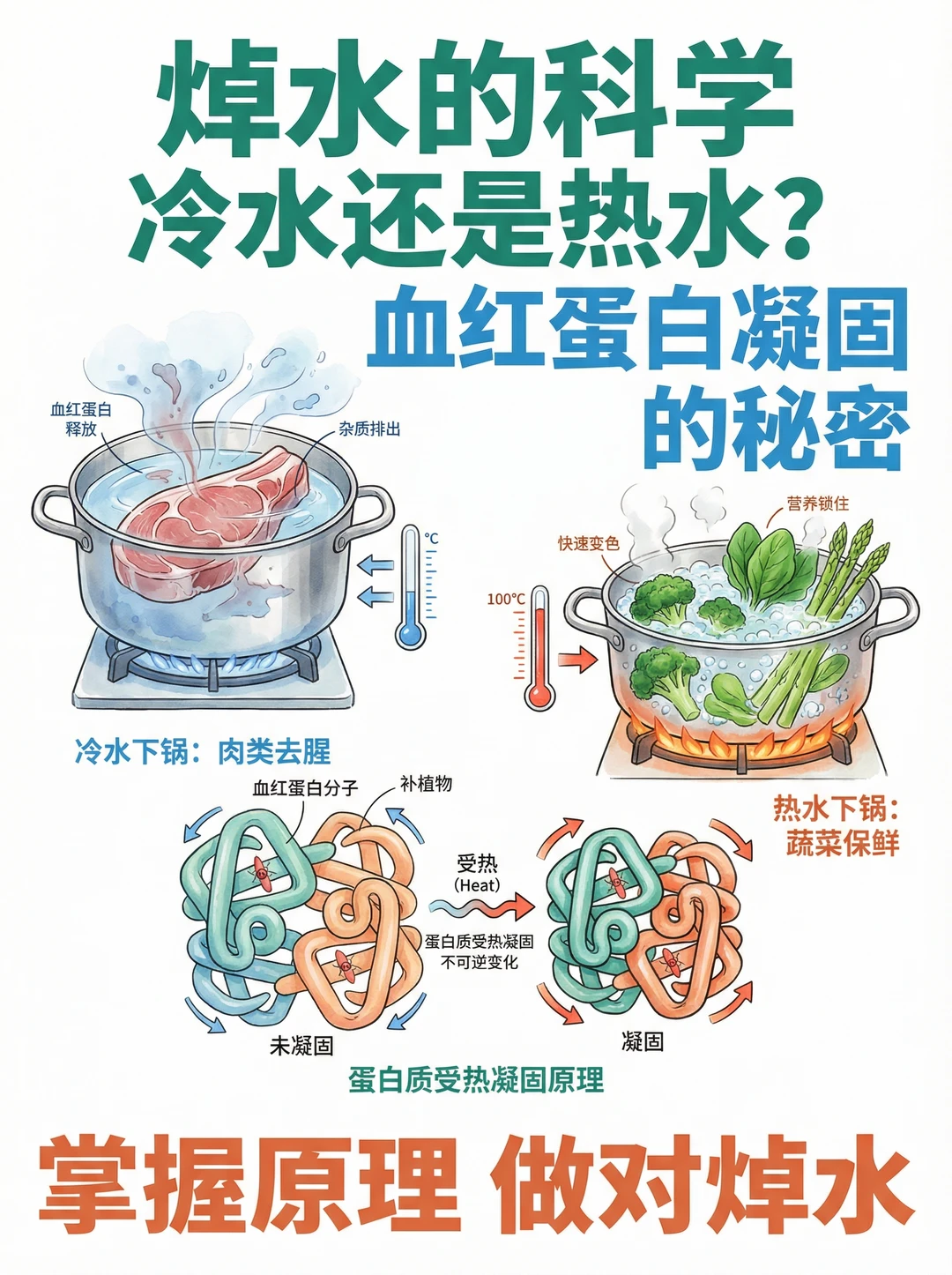 ✅学会焯水，美味成功了一半！