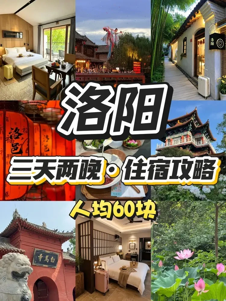 洛阳已回📍wo只推荐这3家百元酒店！
