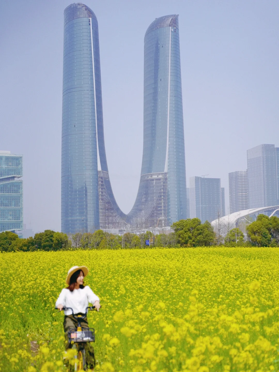 杭州新地标｜杭州之门油菜花开啦，超大一片❗️