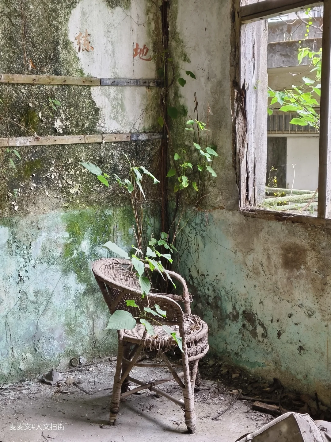 【渝北】藤椅守望着老厂经警队的旧梦余韵