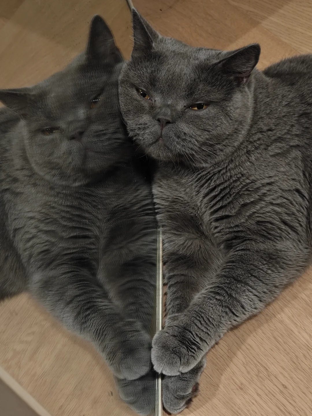 像不像下班后的各位😄