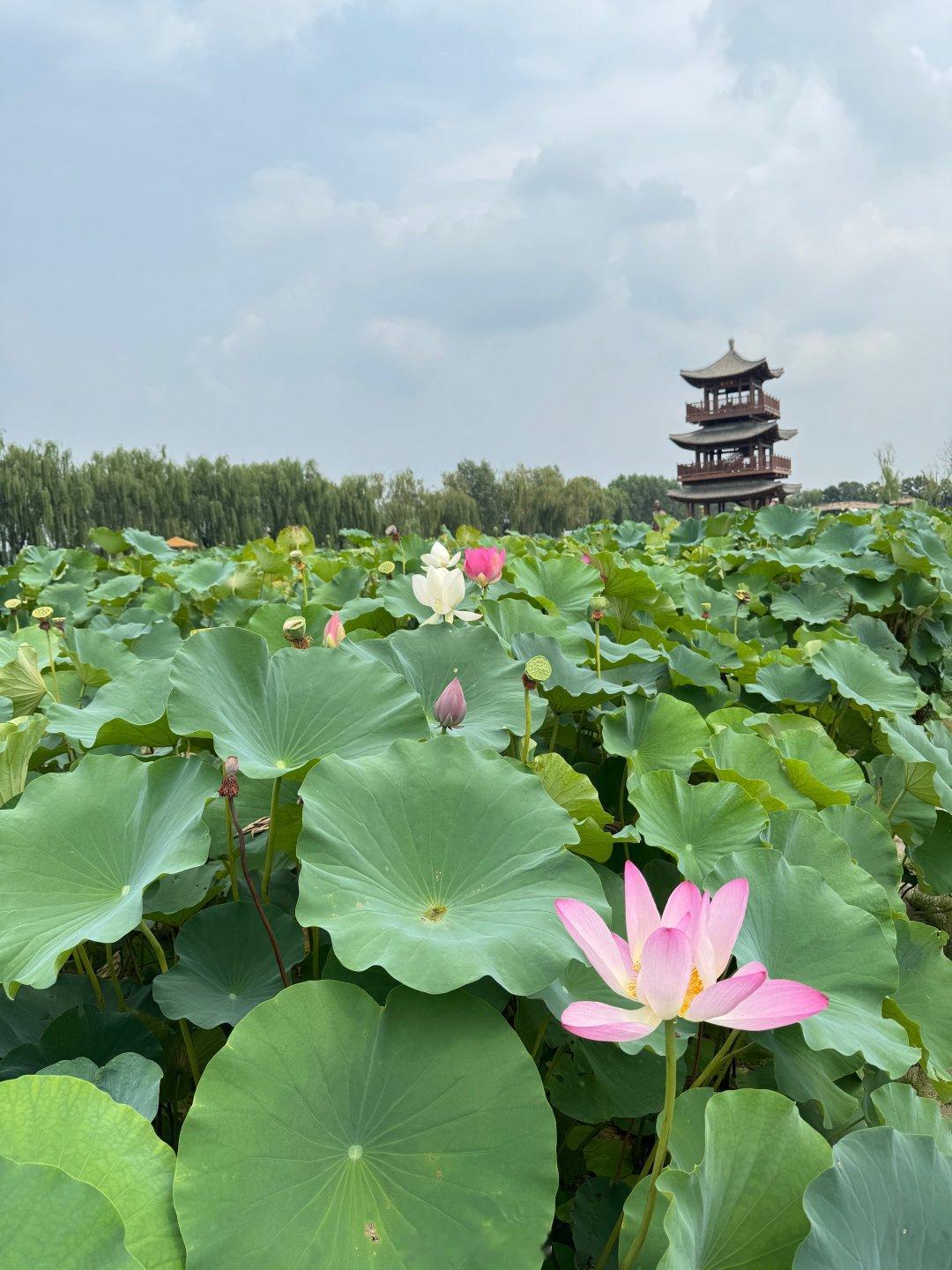 看完《空枪》了…
很多感悟，关键词大概是 怀念 个人命运 郭嘉机器 …跟孩子只能提正能量…
#让我欢喜让我忧# 

朱一龙影帝实至名归，同时代的难有对手盘了（演李嘉诚的梁家辉跟他不是同一辈，否则可以算一个） ​