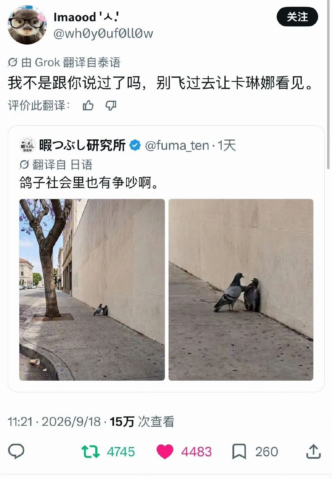 #柳智敏[超话]# 
3784
【】柳智敏怕鸟这件事还藏得住吗 ​