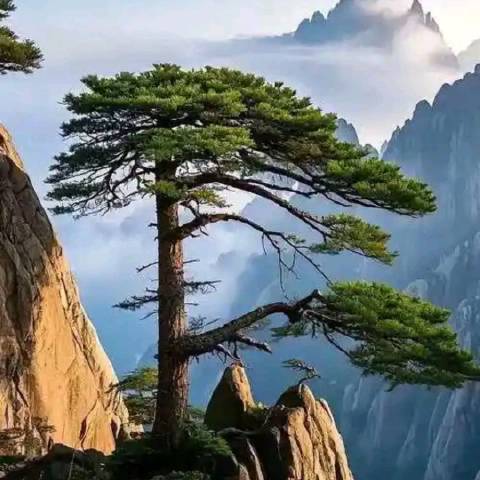 清风韵皖