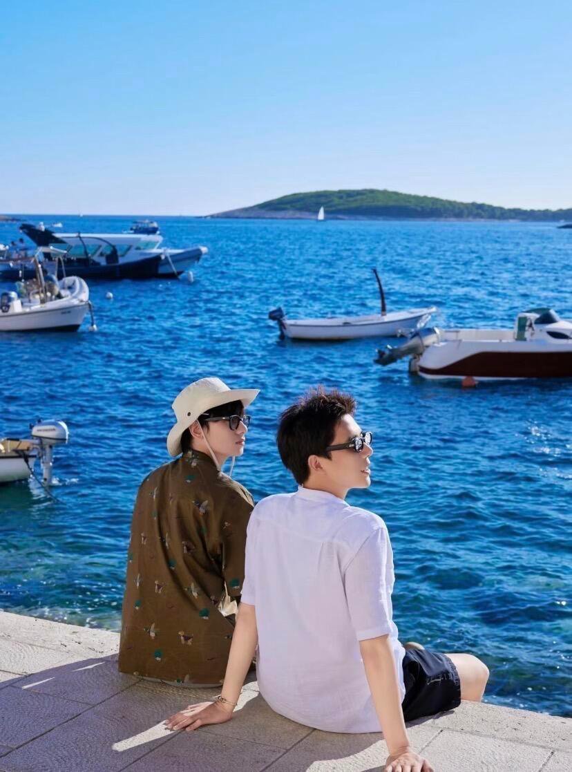 胡先煦和王安宇在节目中一算出25个行李箱，当场心态崩塌，这一幕被网友调侃是把《花儿与少年2》当成了“参考文献”。 一、名场面：25个行李箱触发“花少2 PTSD”- 应激源头：两人作为导游清点行李，发