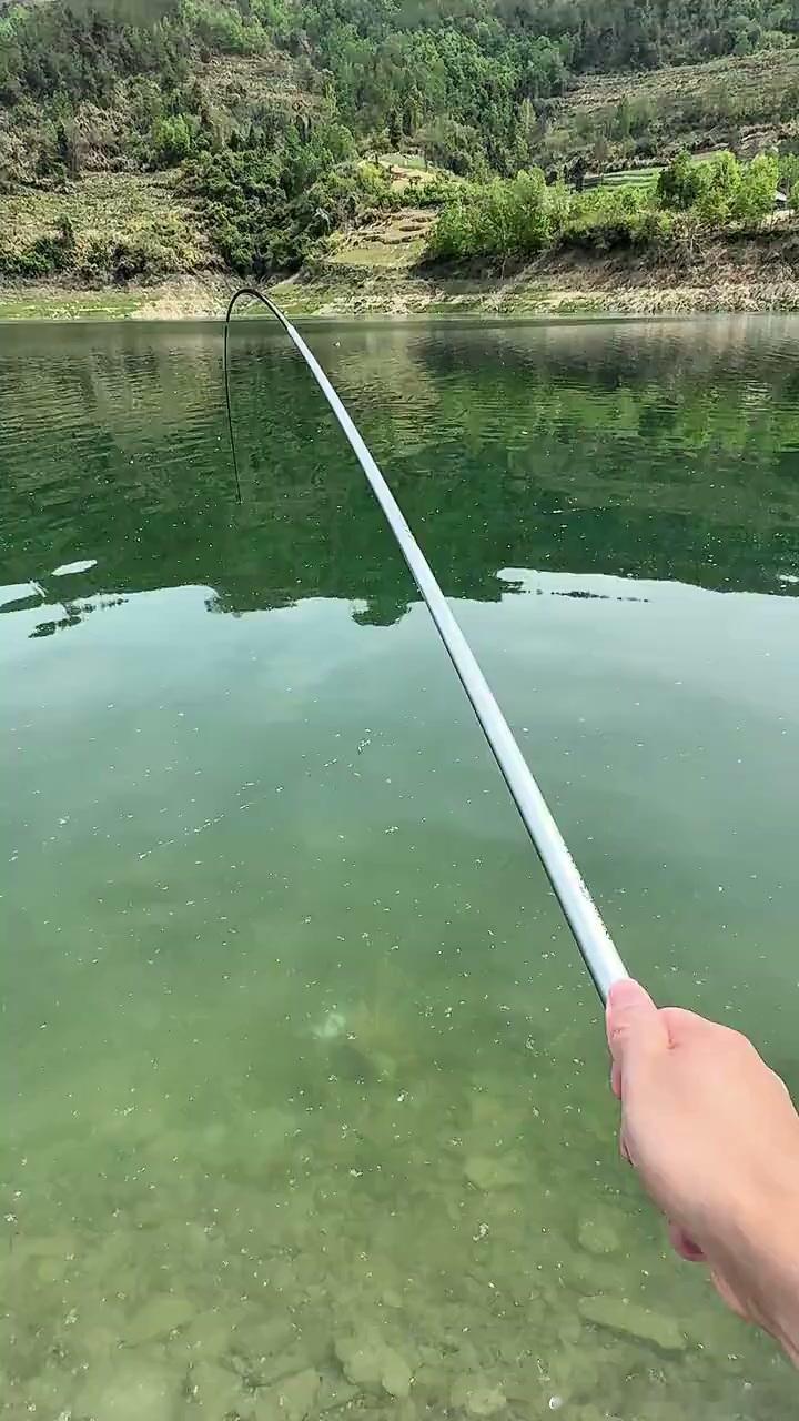 钓鱼圈都懂，能拿下四十斤级别的巨物，含金量真的不低🐟。不是随便碰碰运气，背后是无数次早起守钓、摸清水情、熬过长时间的等待。重庆街头这位大哥，喜提长安启源Q06恰逢擒获大青鱼，双重喜事撞在了一起。新车挂着巨物前行，车尾“空军之家”的车贴，本是用来打趣自己时常空手而归。路上行人被这条 ​