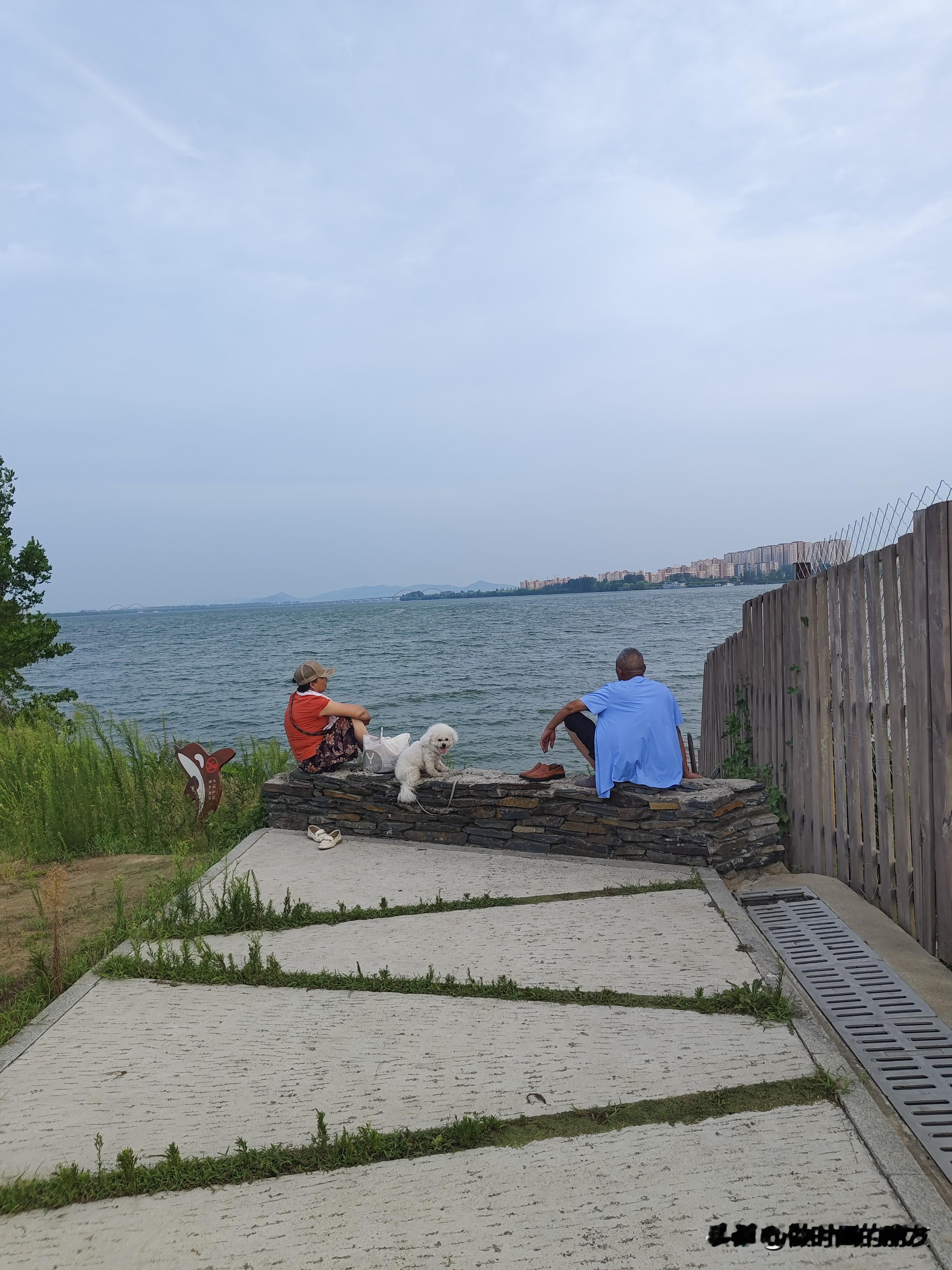 为什么那些曾经闹得要离婚的夫妻，现在到了中年后却亲密无间？！  这段时...