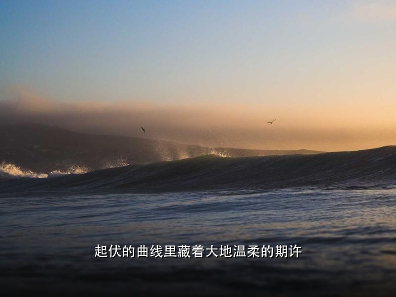 看到梅西、姆巴佩、哈兰德同一天都上演梅开二度，确实有点意思。这三个人现...