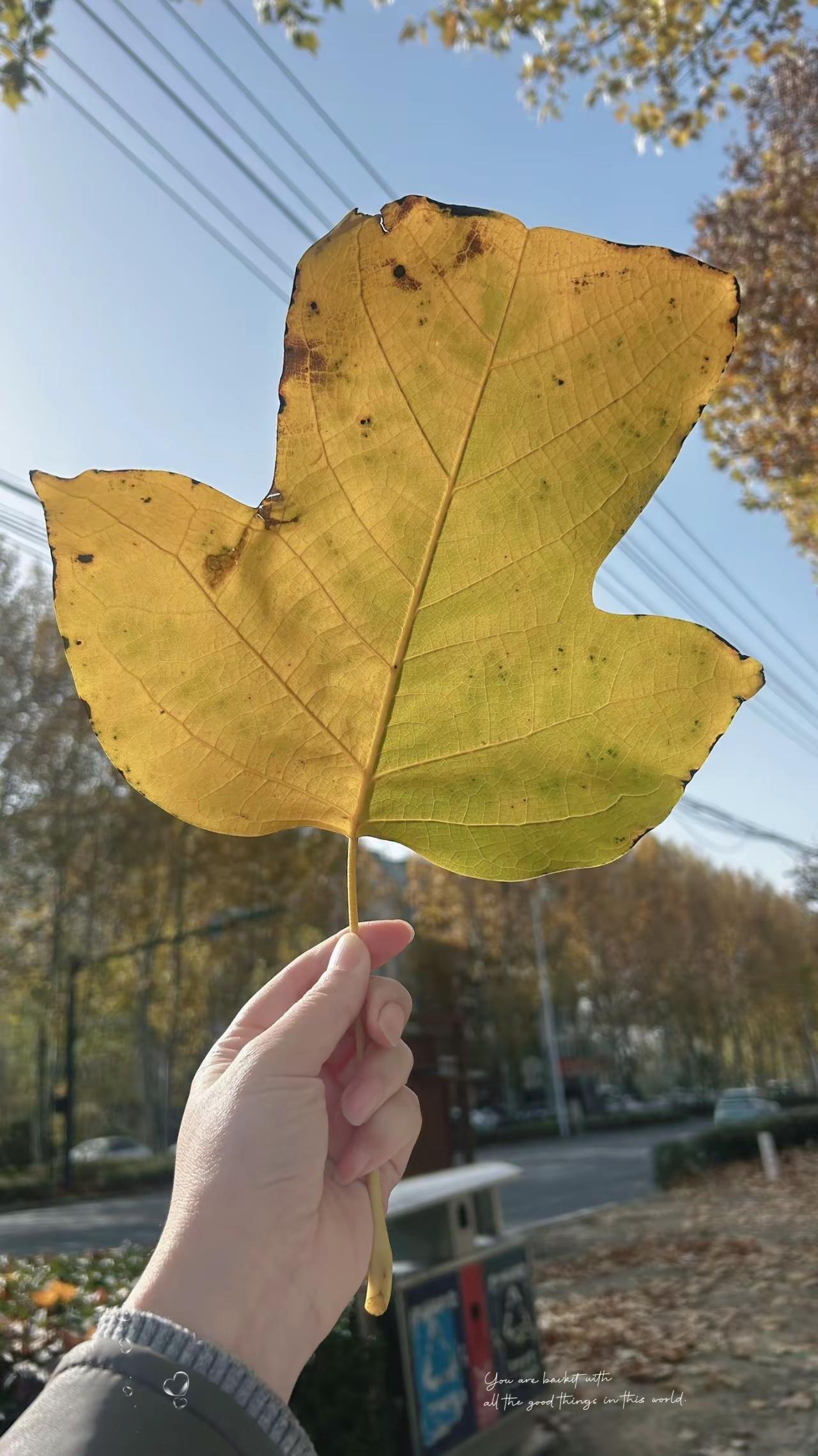 “不吃点亏怎看透人心，不碰点烂事，怎分清真假，栽个跟头不算啥，长点记性就够了！”