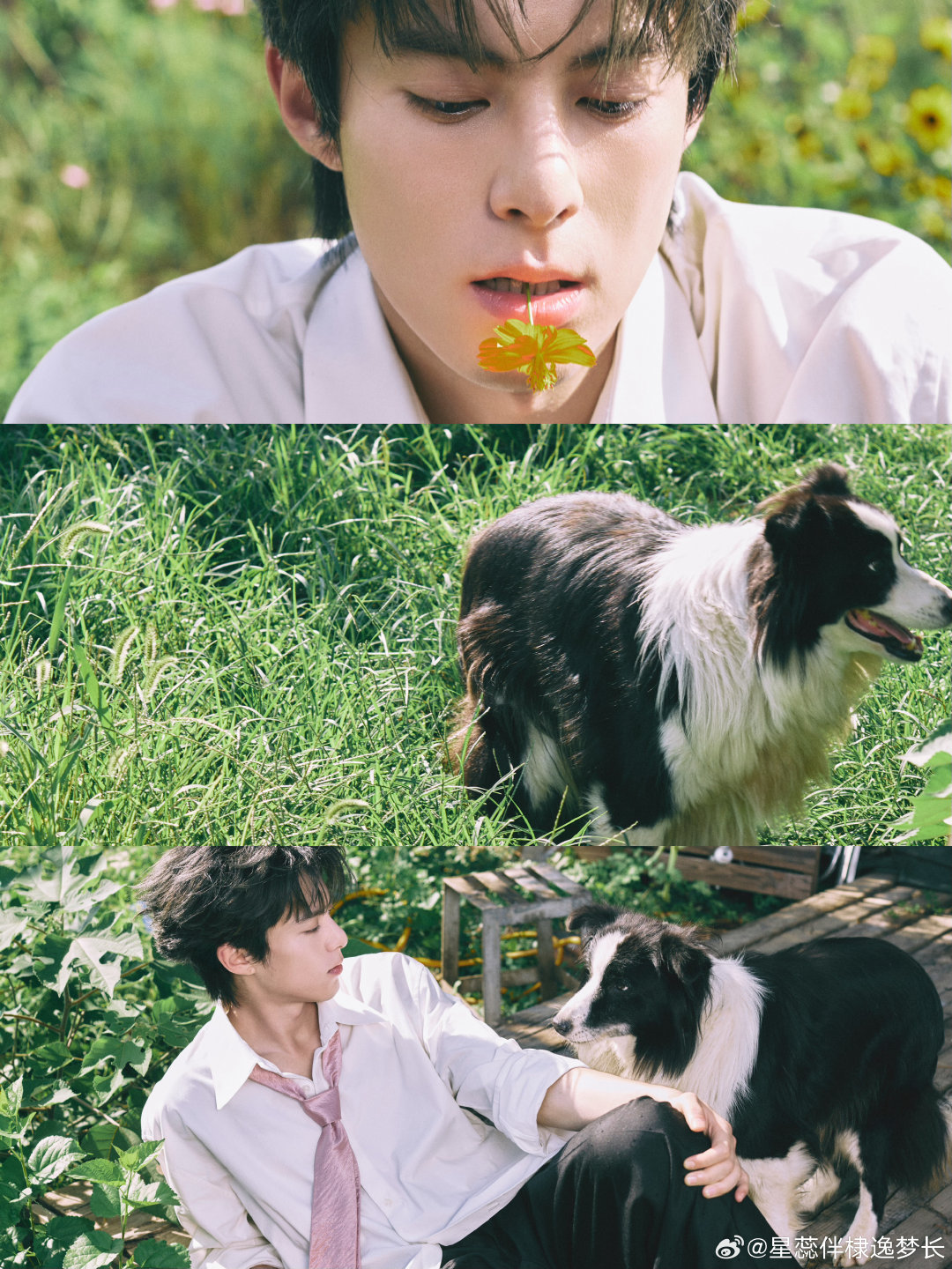 #王鹤棣[超话]# 💜#王鹤棣# 

这组完全是山野出游学长🌿

[期待]​