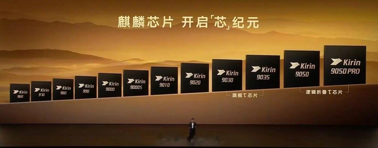 为啥总有人觉得自研芯片应该更便宜啊？还是全链路国产那种。自研是要投资烧钱的，从基础半导体设备到光刻机，投进去都是天文数字，而且光刻机现在还没真正突破。目前光刻机制造设备受制于人，只能靠多重曝光这类办法硬做，良率肯定大打折扣，成本反而更高。其实芯片为啥搞那么多型号？

有一部分原因就 ​