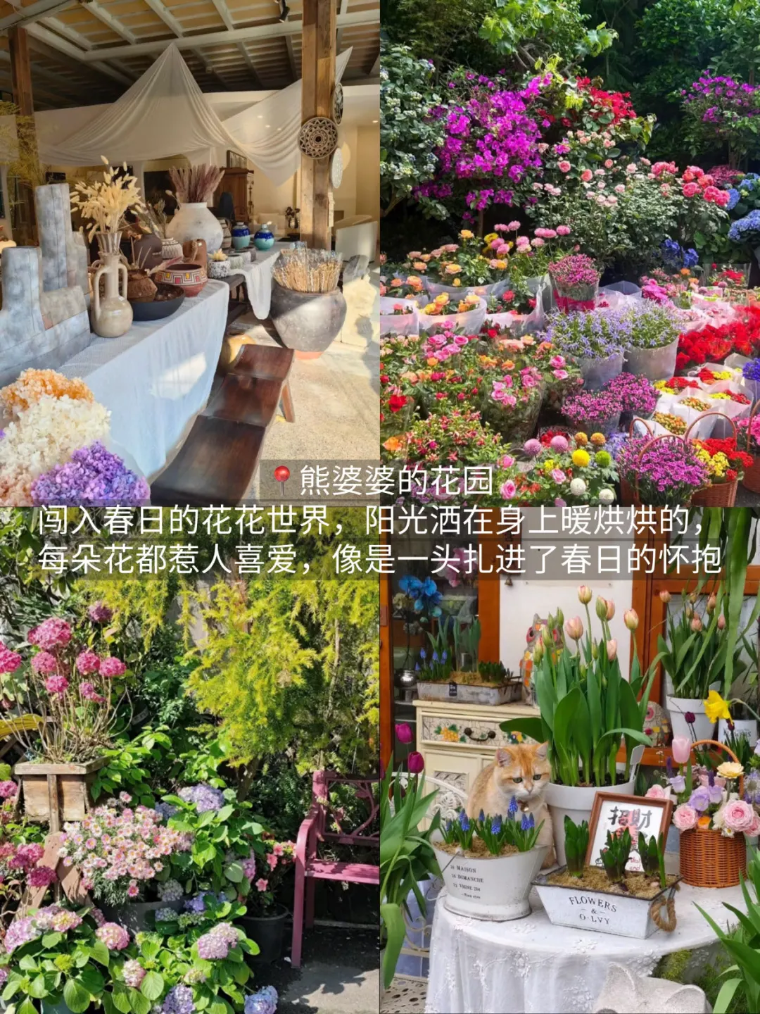 盘点重庆春天适合吸氧的漂亮小地方！！(10个