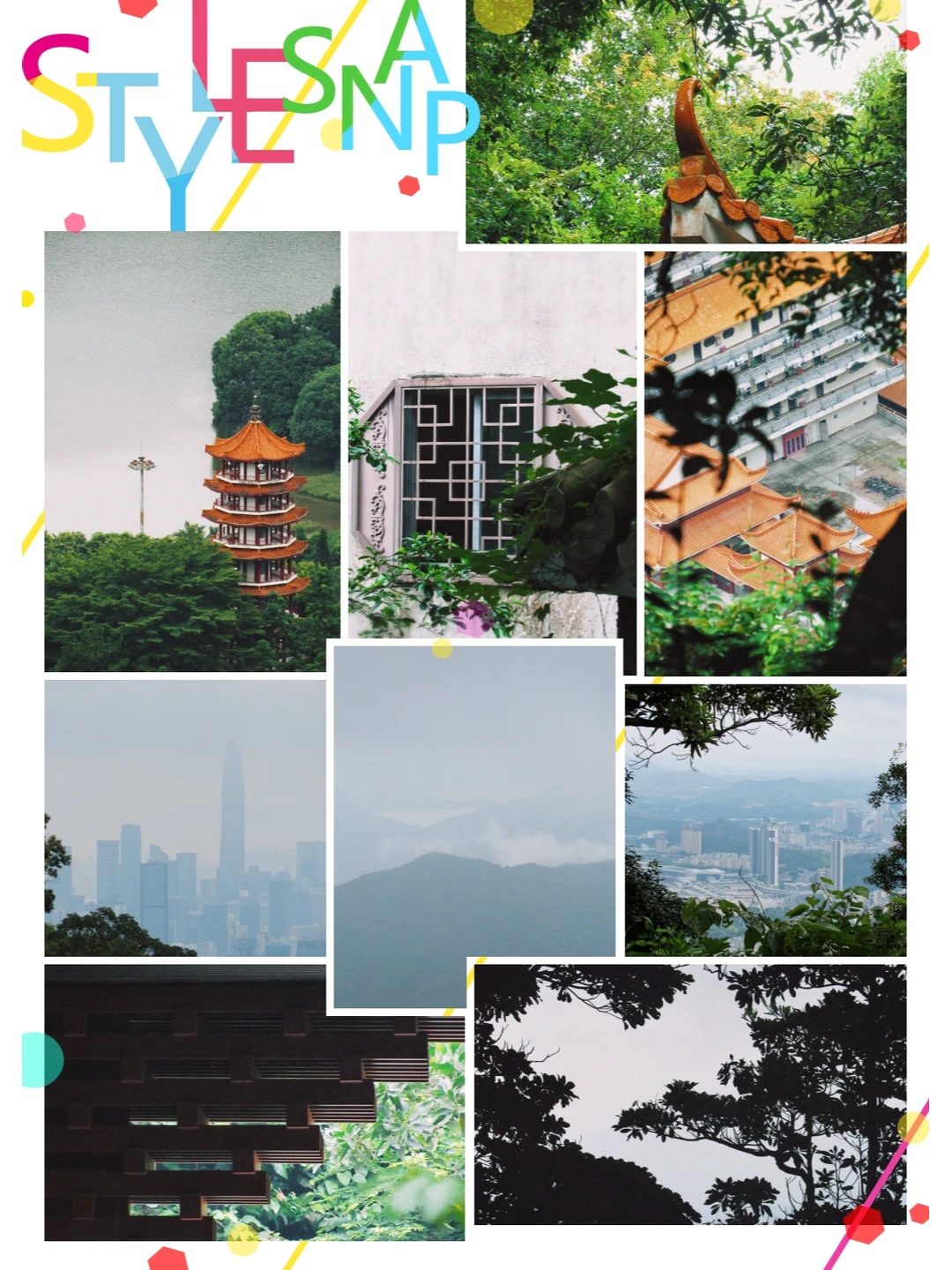 仙湖梦境：周末漫游深圳仙湖公园 🌳✨