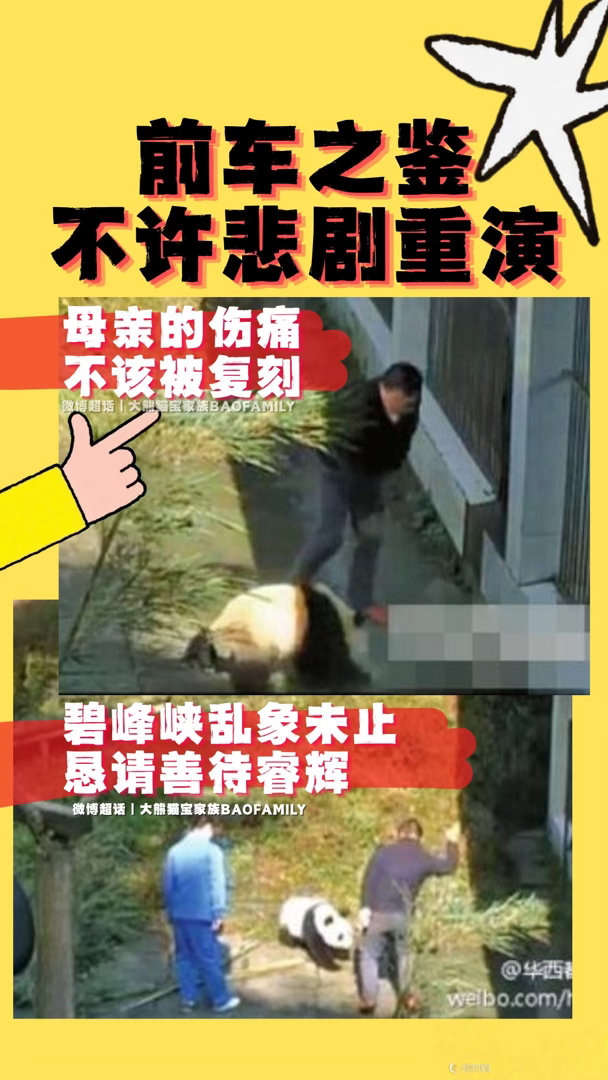 关于碧峰峡大熊猫基地的争议持续引发公众高度关注。众多网友指出，该基地...