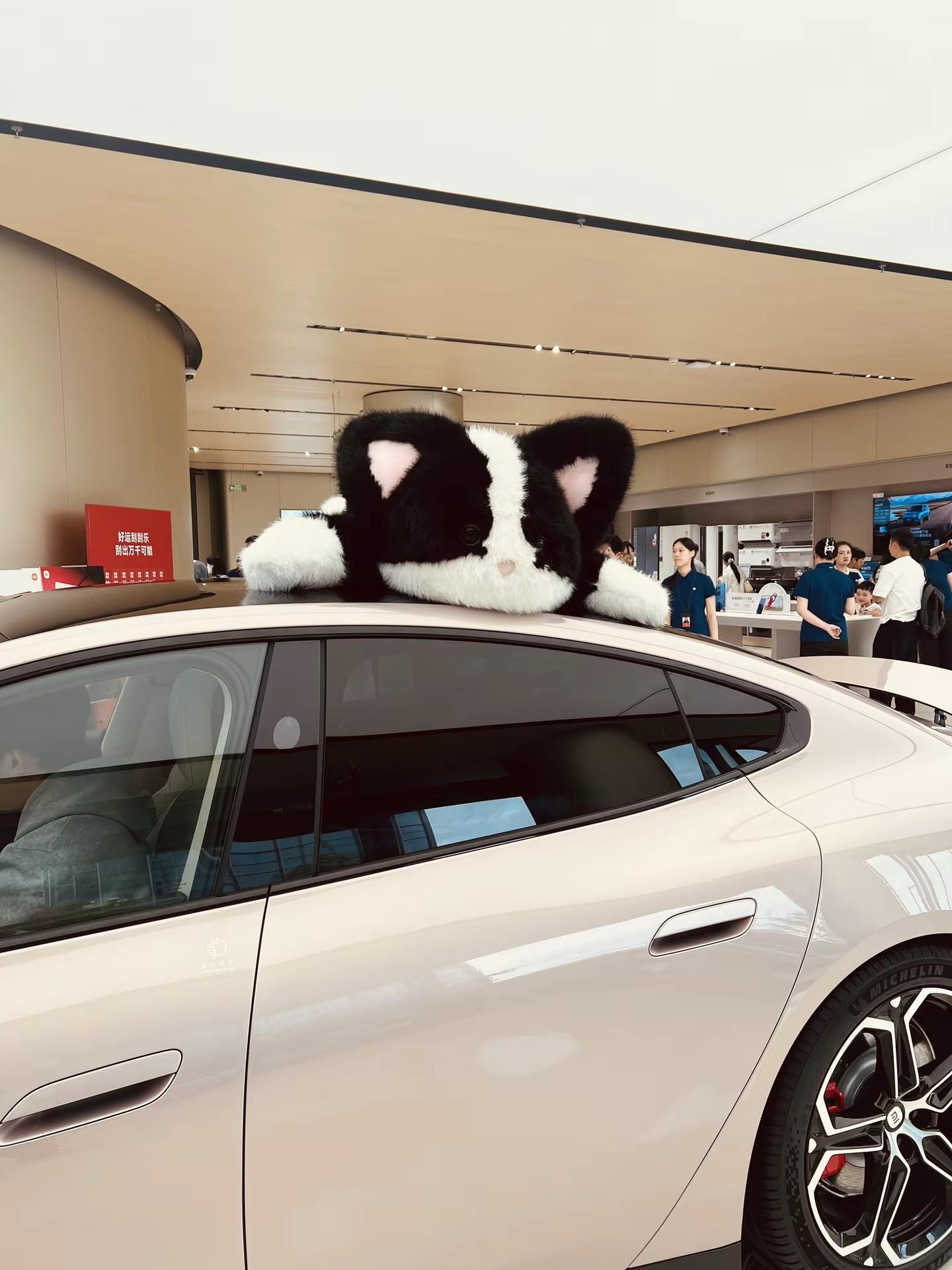 小米汽车