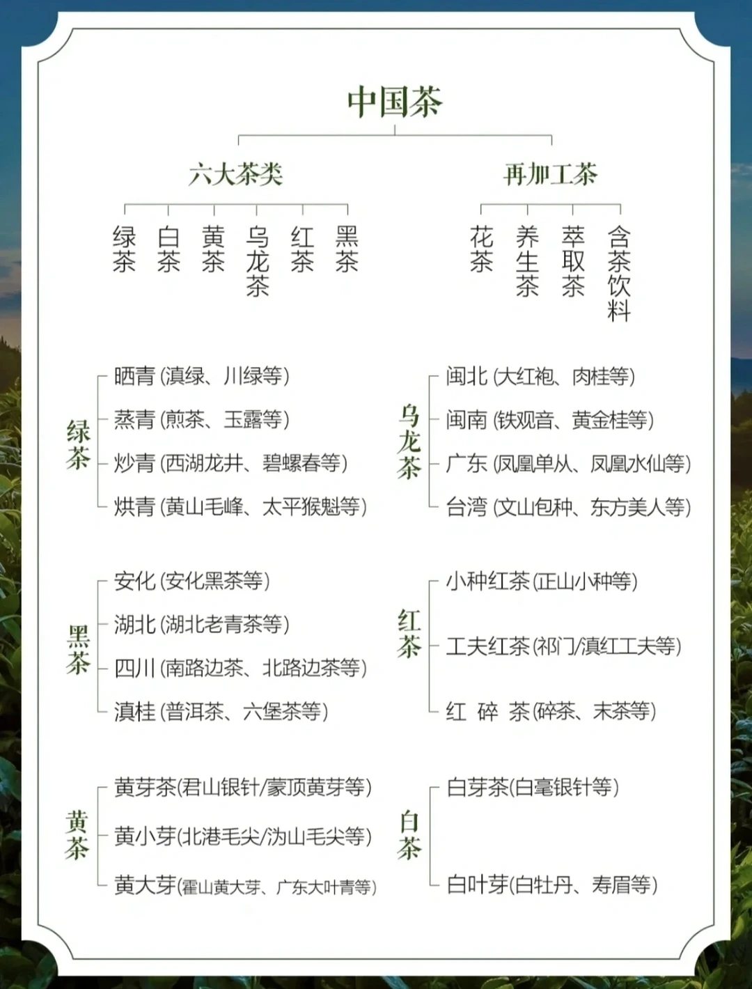 一篇文章让你认识中国茶文化，建议收藏！