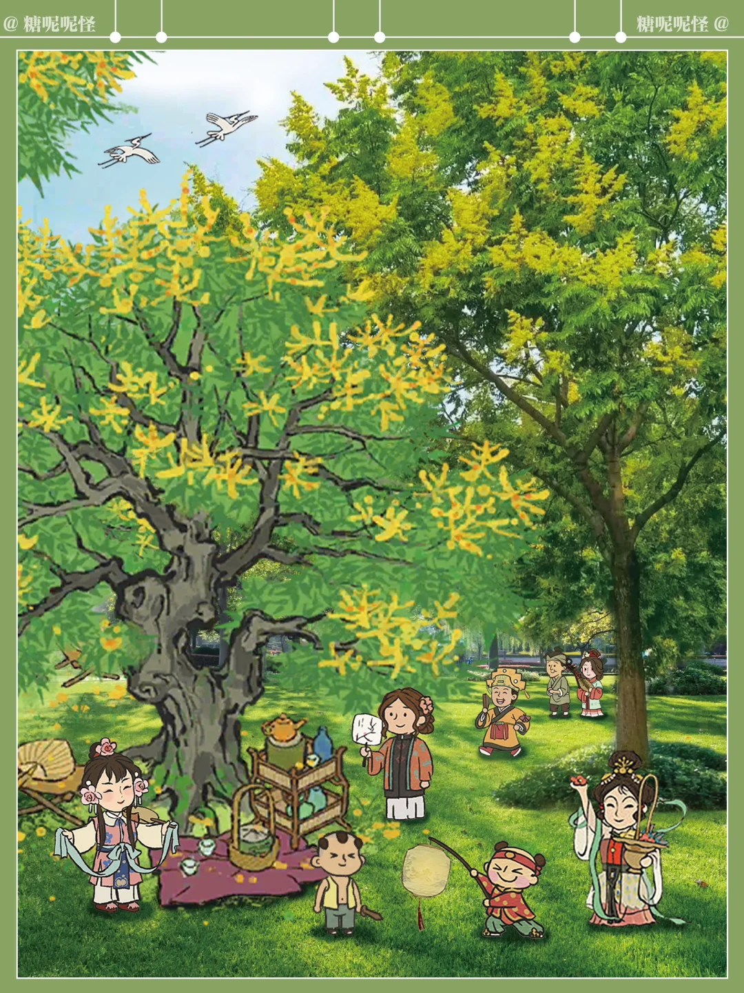 现实里的【清夏木栾】长这样⬆️秋天的也好看！