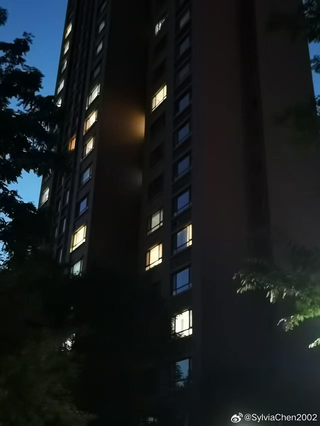 老爹又是一晚一上午不睡觉，和小林对个眼神，诚邀老爹在院子里坐坐透透气。...