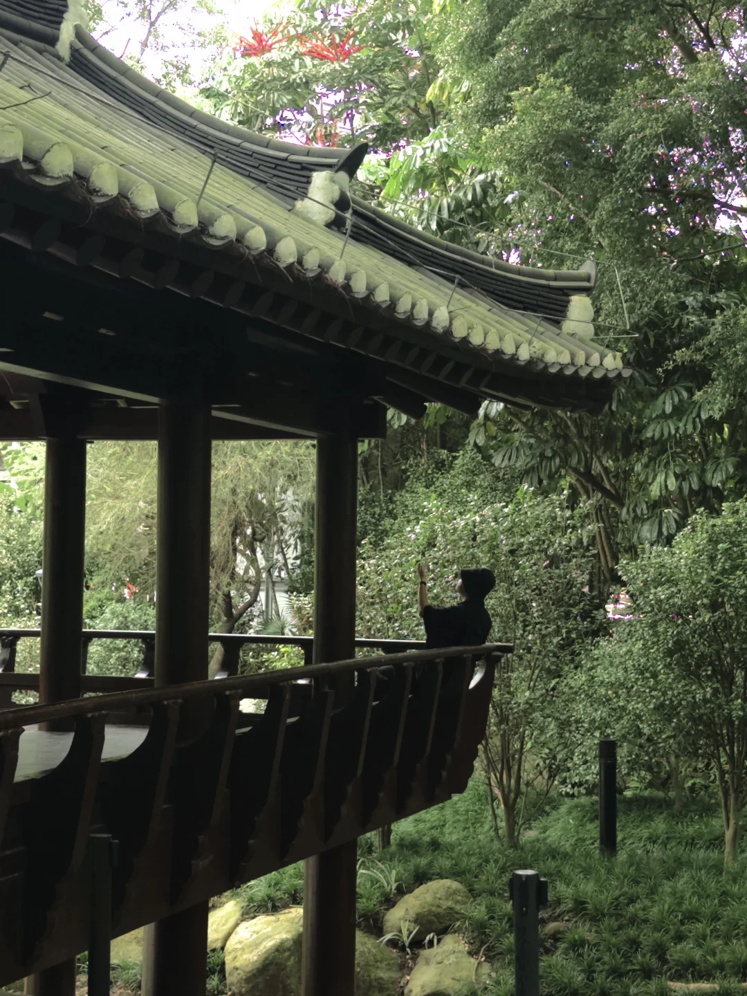 越秀公园✨比李现小船更好拍的隐藏地✨