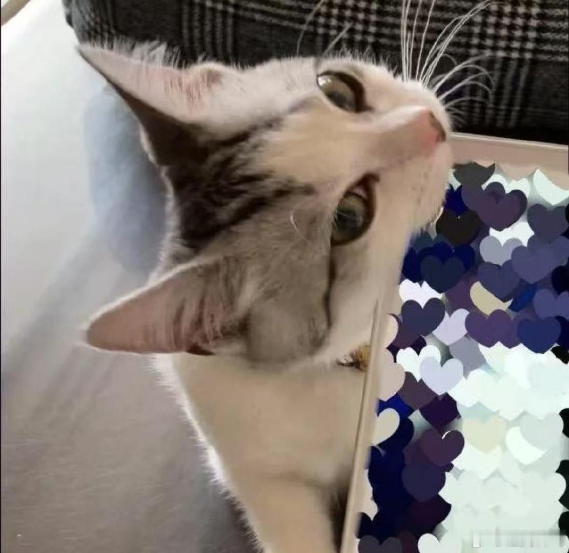 ​